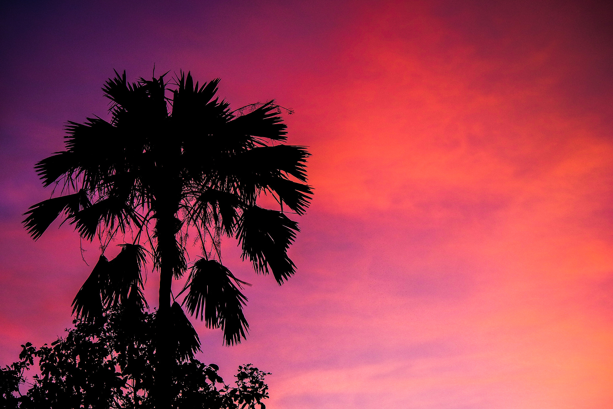 Samsung NX3000 + NX 50-200mm F4-5.6 sample photo. A vibrant sky photography