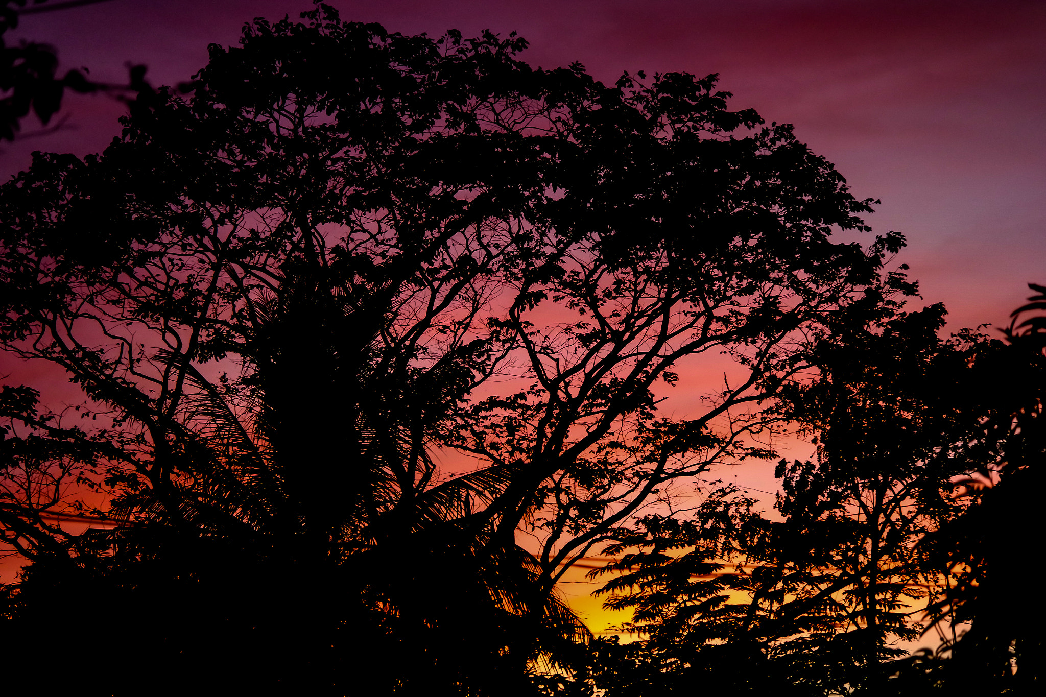 Samsung NX3000 + NX 50-200mm F4-5.6 sample photo. A vibrant sky photography