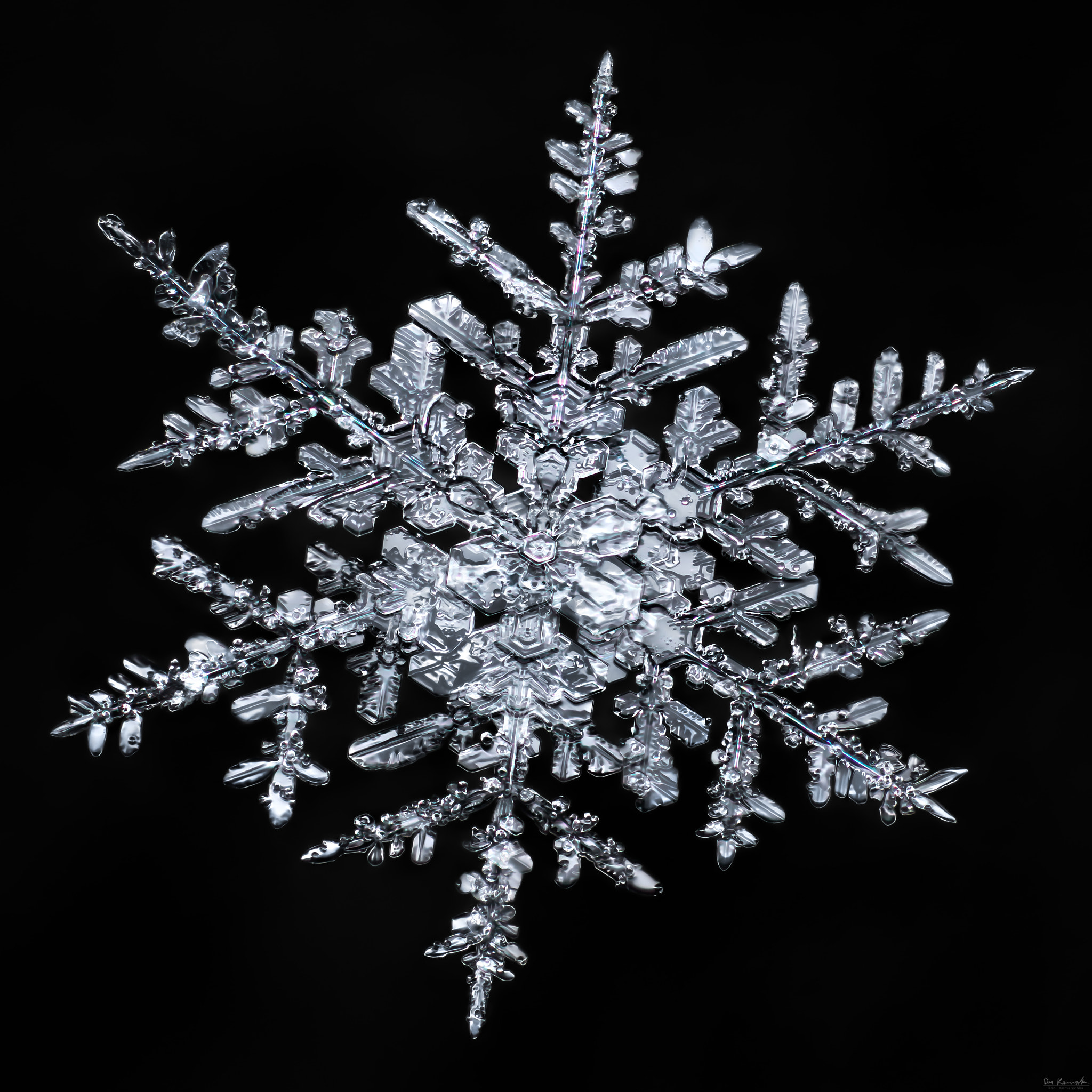 Canon MP-E 65mm F2.5 1-5x Macro Photo sample photo. Snowflake-a-day #63 photography