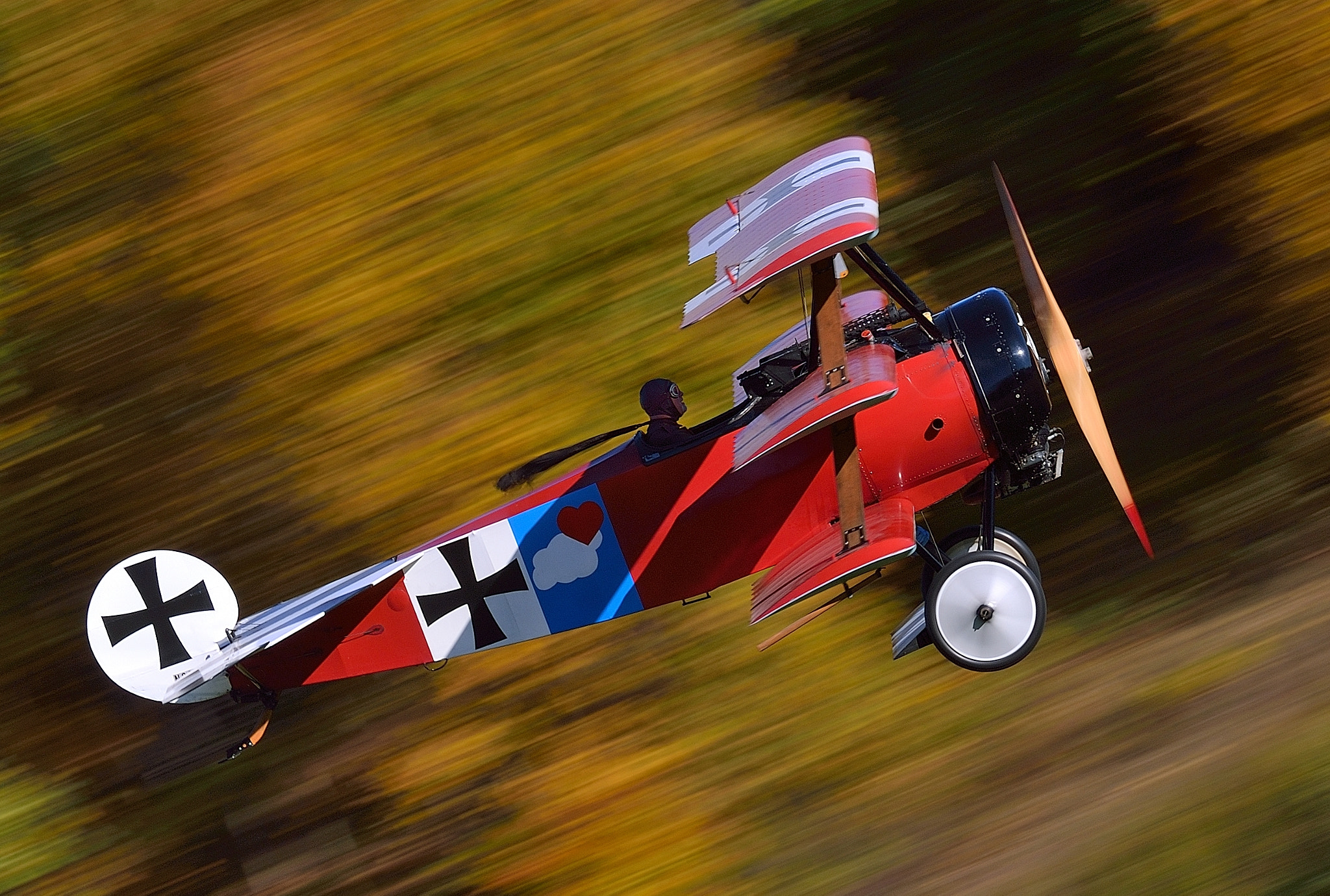 Nikon D4 sample photo. Red baron photography