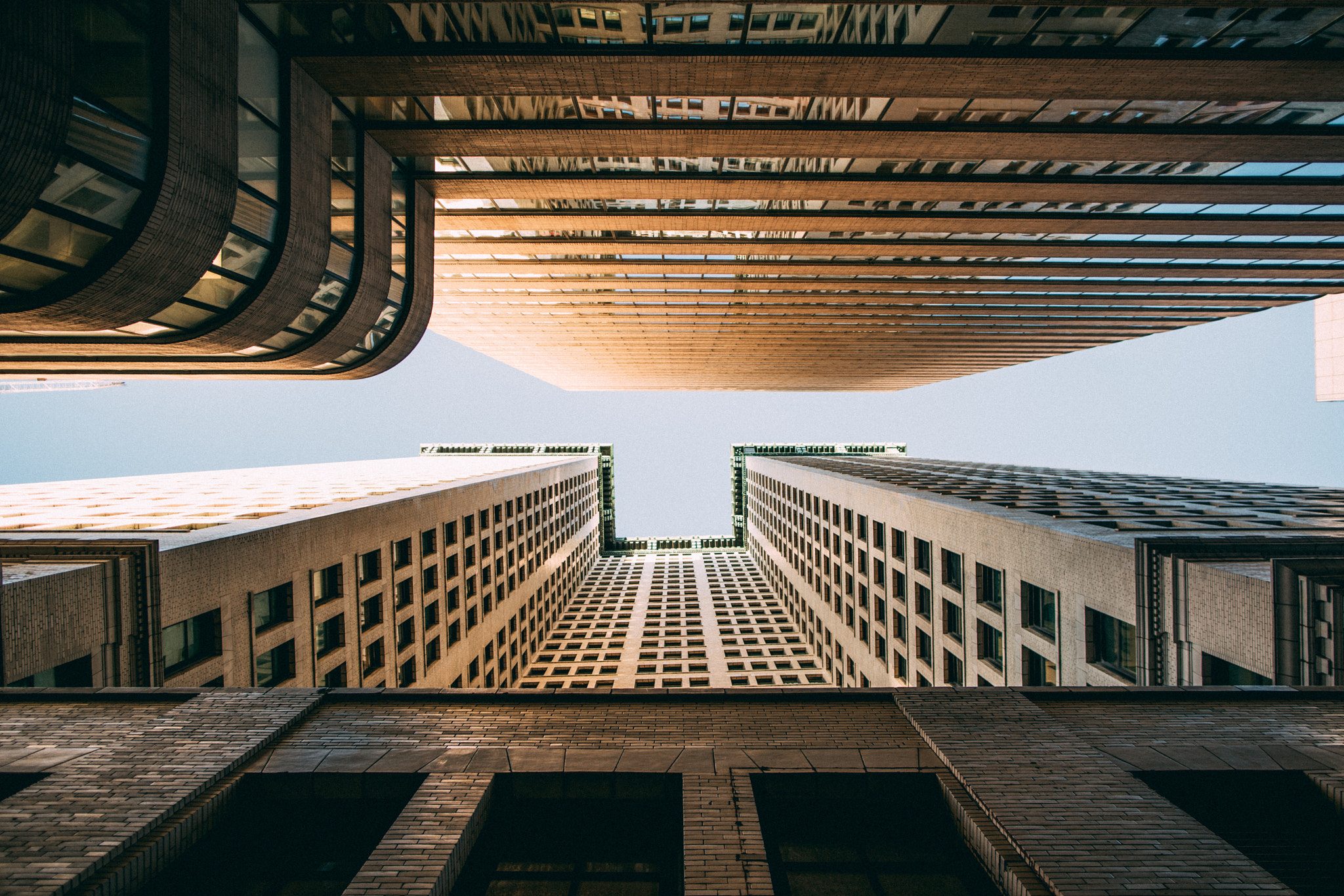 Sony a7R II + Canon EF 24mm F1.4L II USM sample photo. Just look up. photography