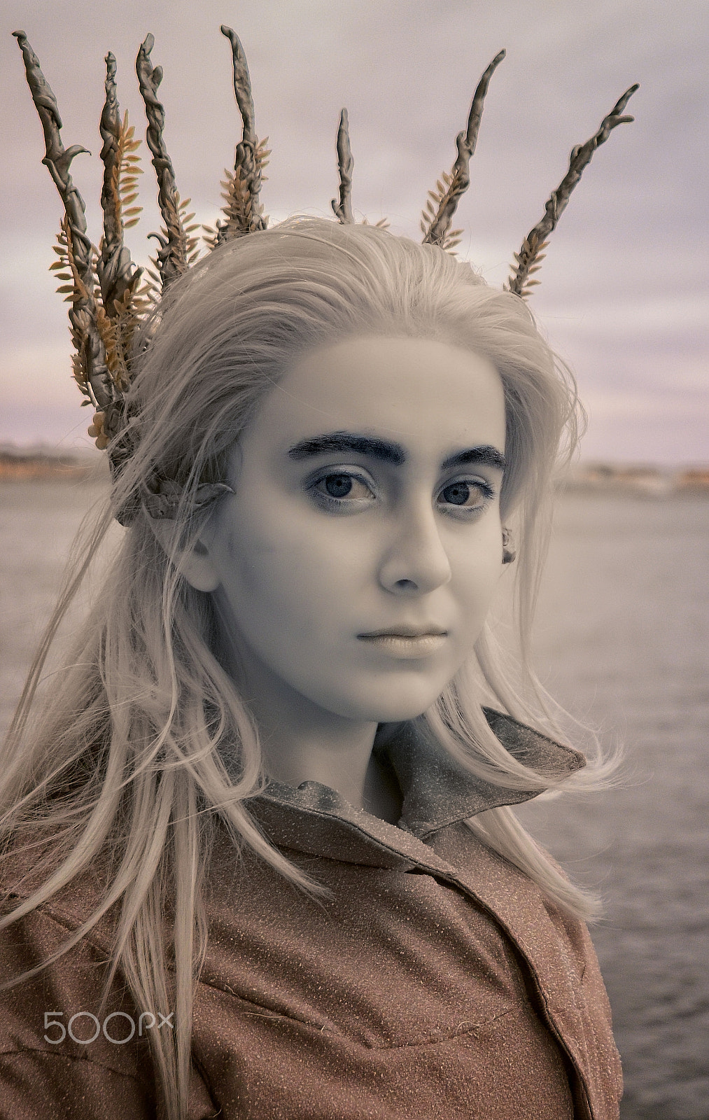 Nikon D70s sample photo. Queen of the wood elves photography
