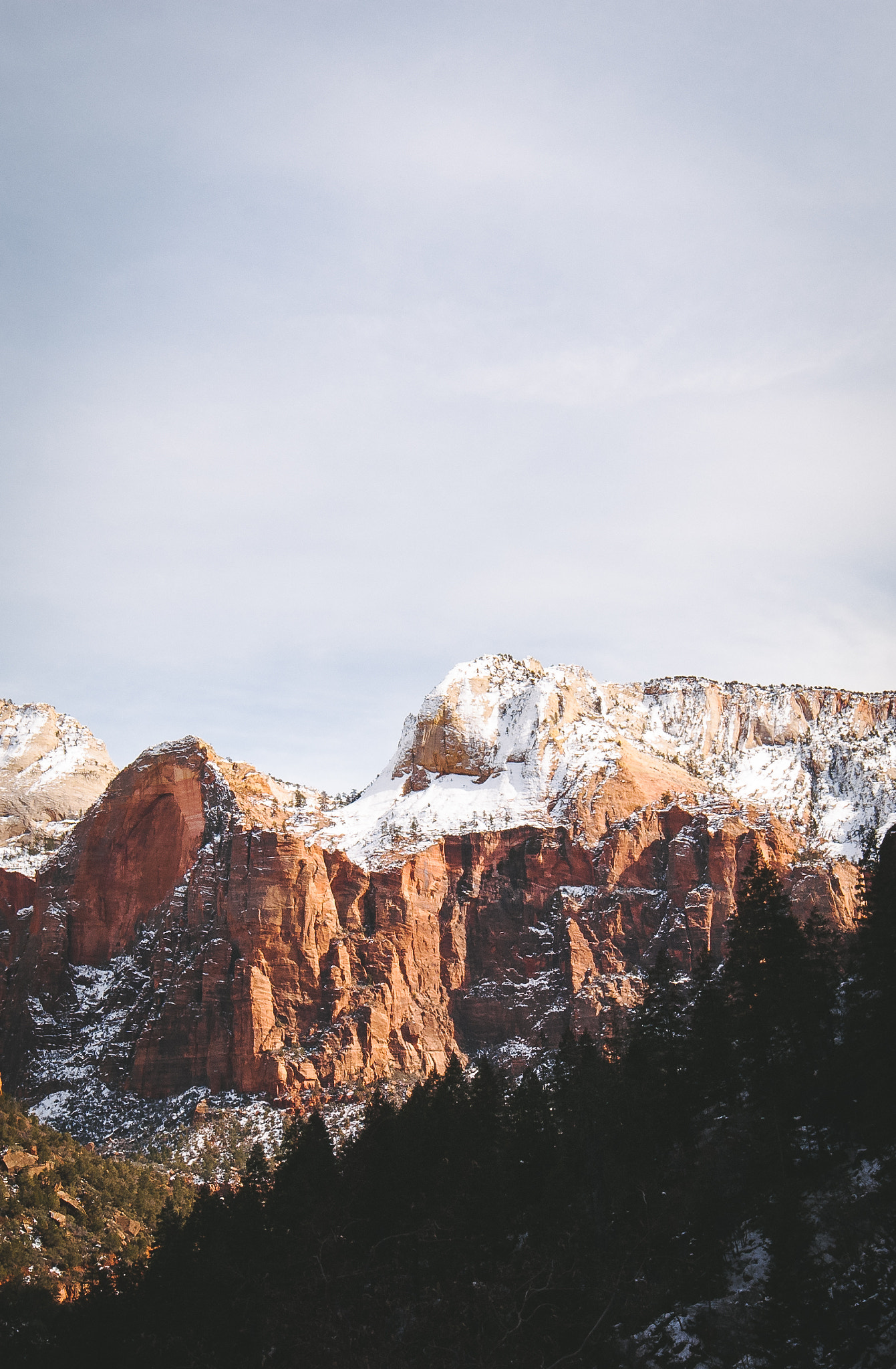 Samyang 14mm F2.8 ED AS IF UMC sample photo. Zion, utah photography