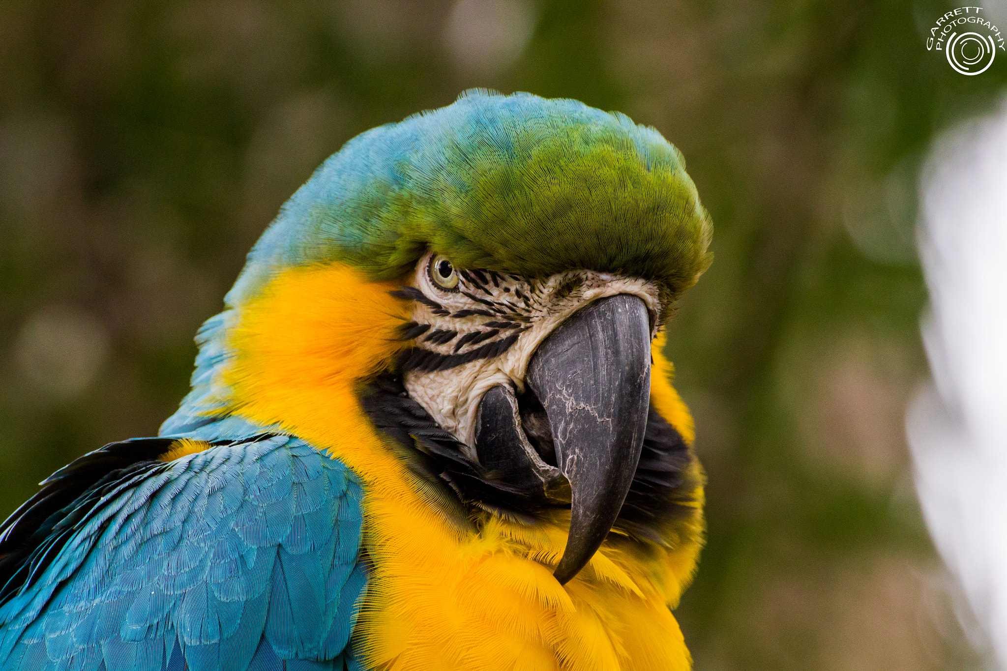 Tamron SP 35mm F1.8 Di VC USD sample photo. Why so serious? photography