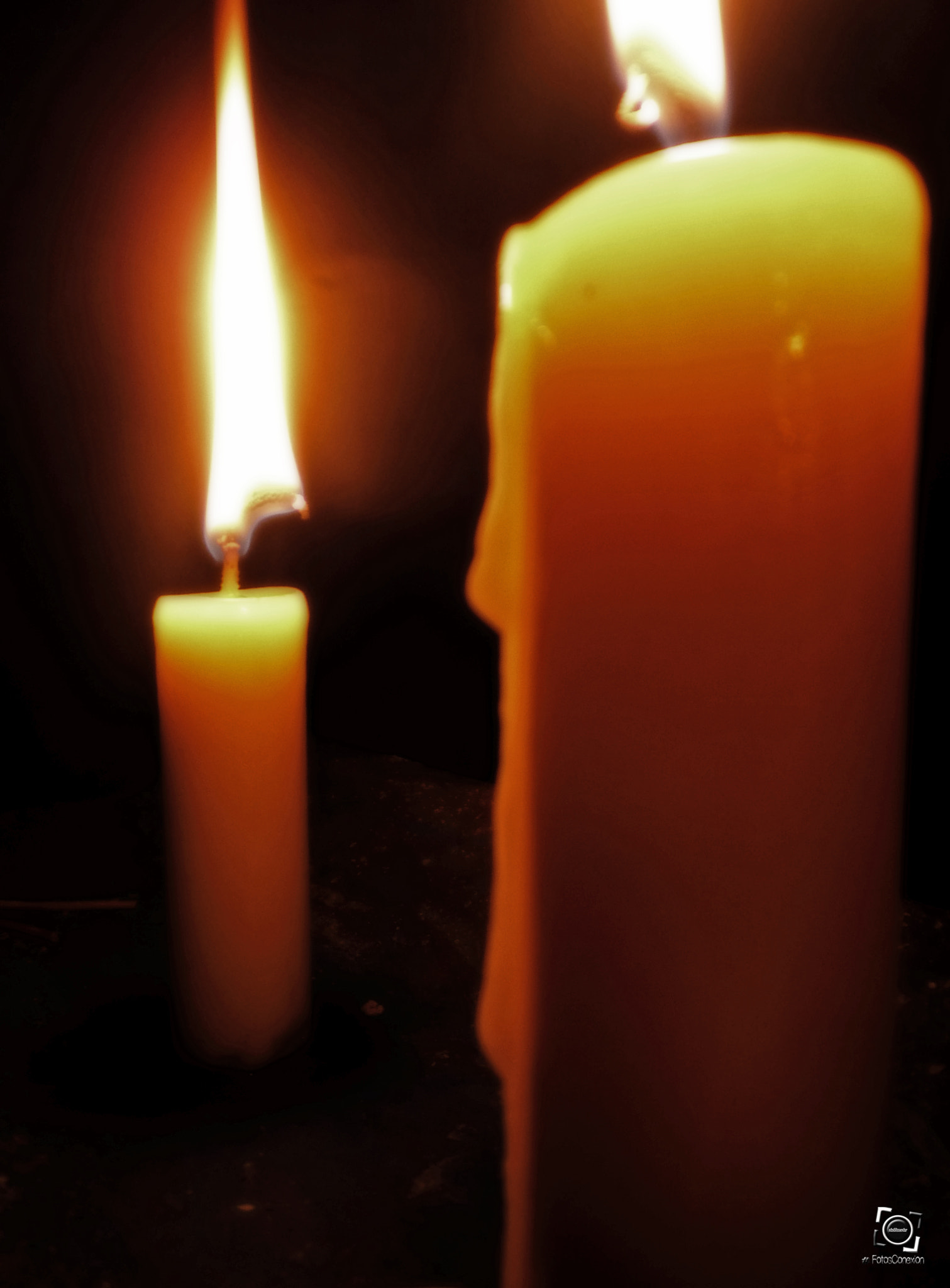 Panasonic DMC-LZ8 sample photo. Fuego photography