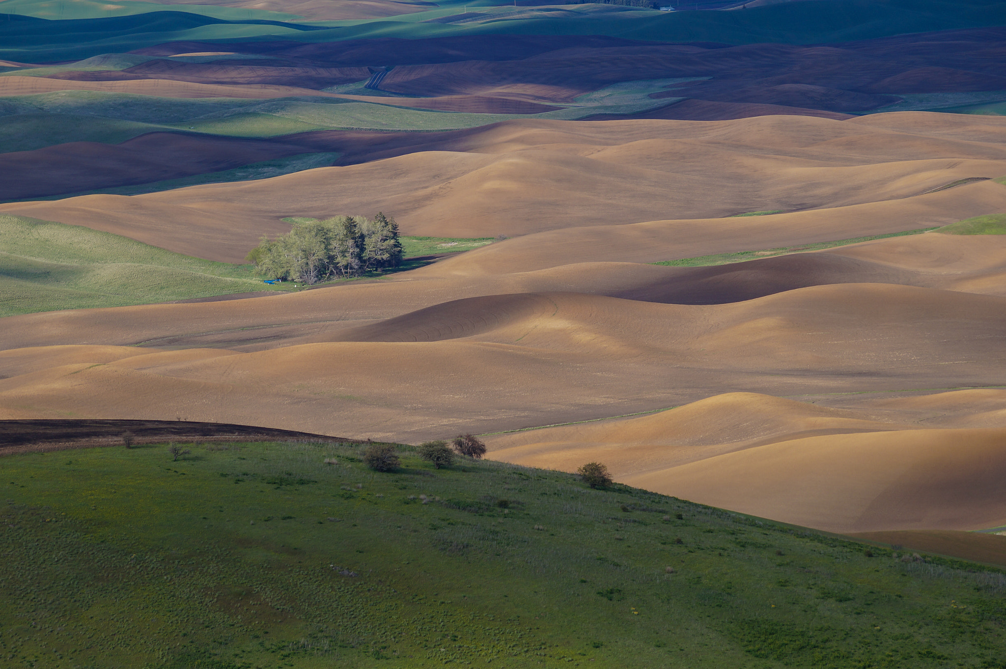 Sony SLT-A57 + Sony DT 55-200mm F4-5.6 SAM sample photo. Rolling hills photography