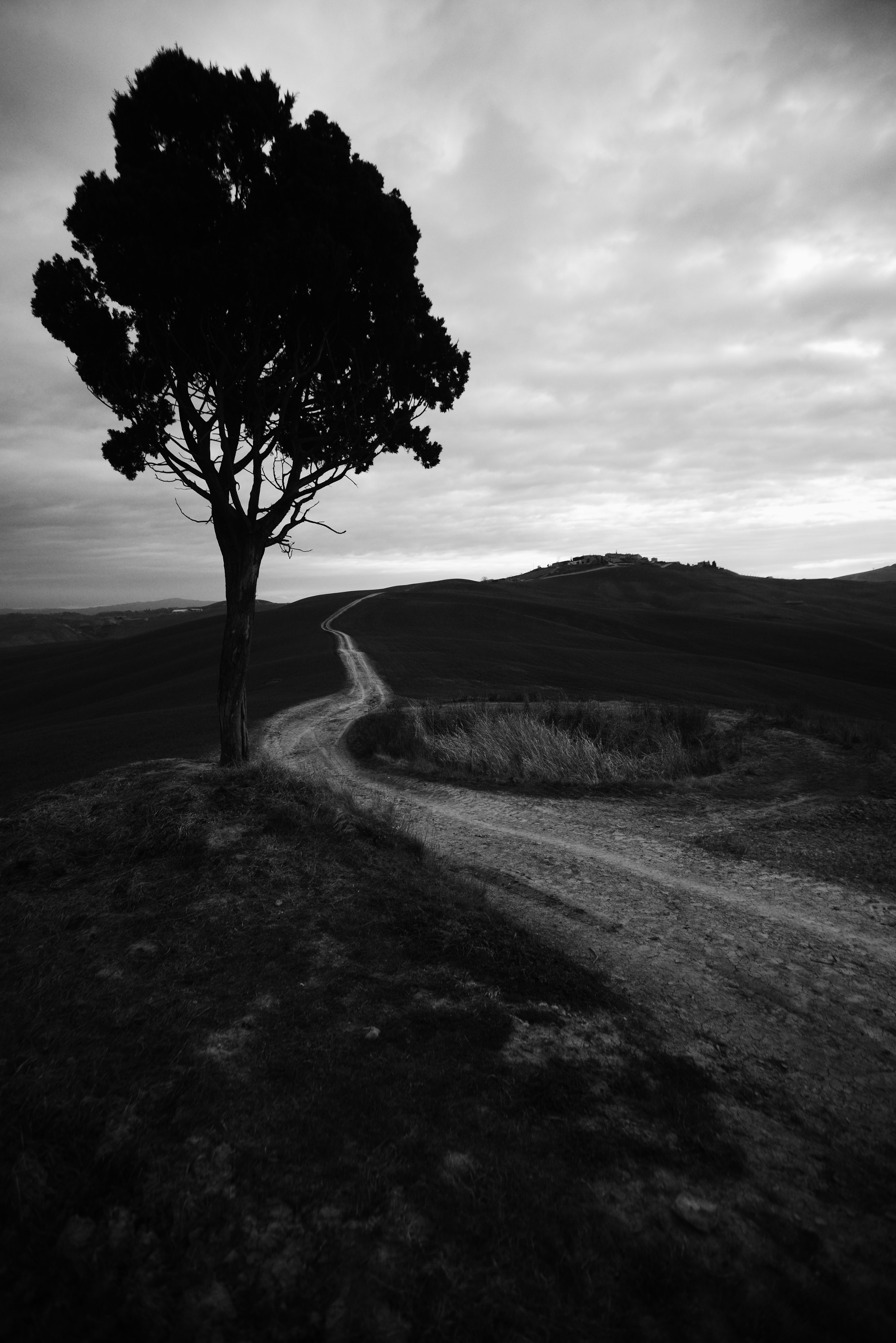 Nikon D800 + Sigma 18-35mm F3.5-4.5 Aspherical sample photo. Albero solitario photography