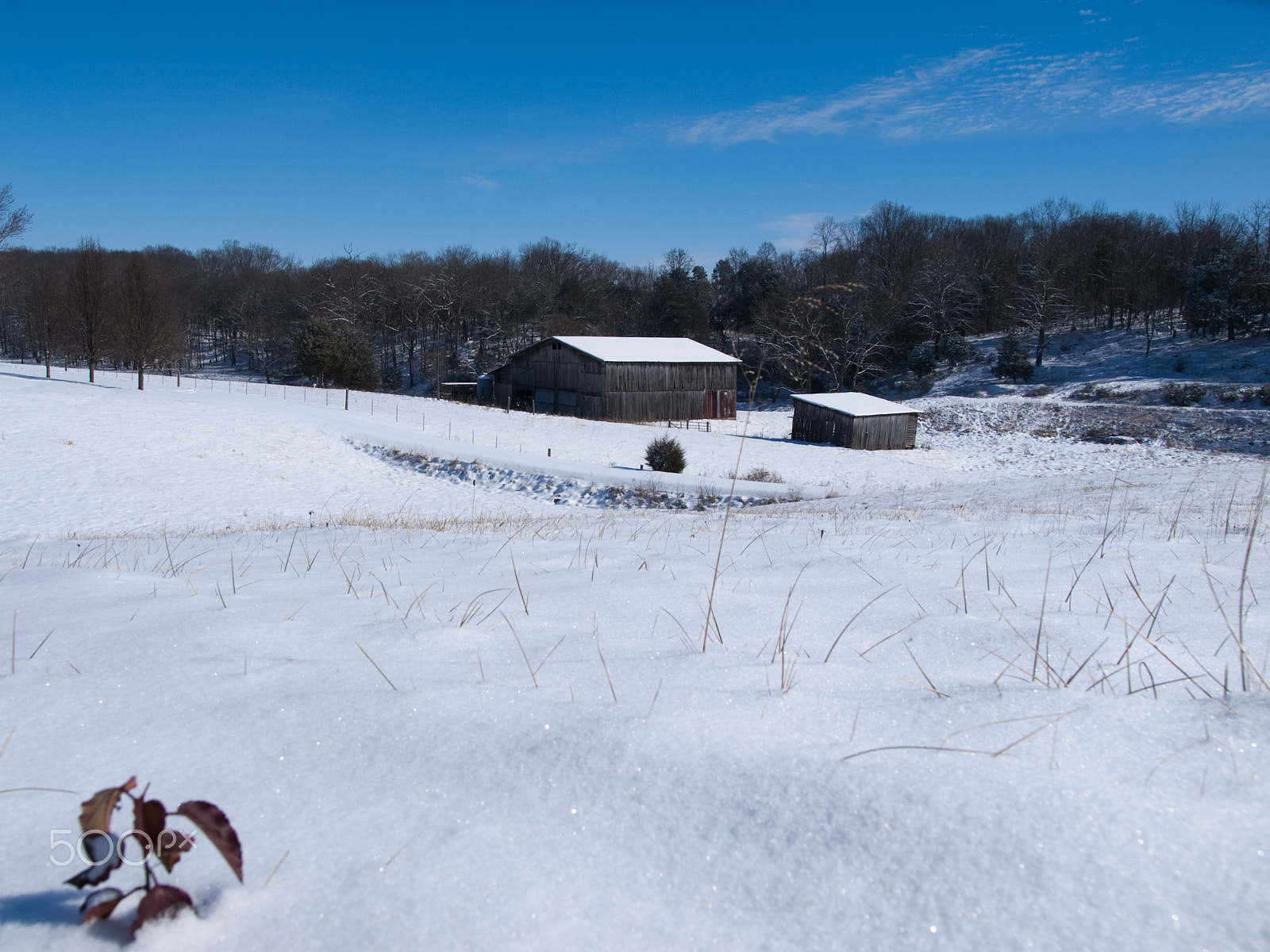 Olympus E-420 (EVOLT E-420) + OLYMPUS 14-54mm Lens sample photo. Barn and shed in snow photography