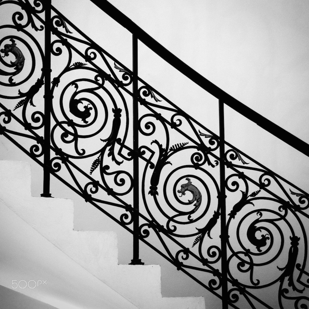 Sony DT 18-250mm F3.5-6.3 sample photo. Going up! photography