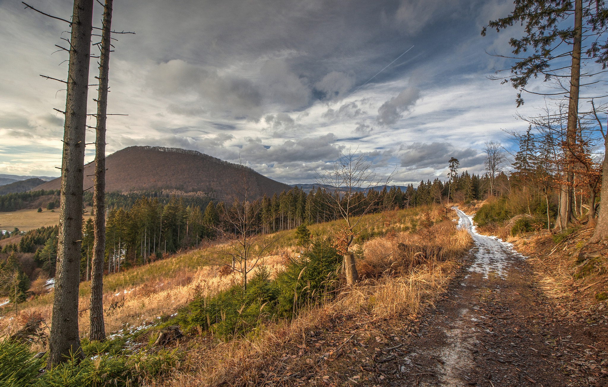Canon EF-S 10-18mm F4.5–5.6 IS STM sample photo. Poor winter... photography