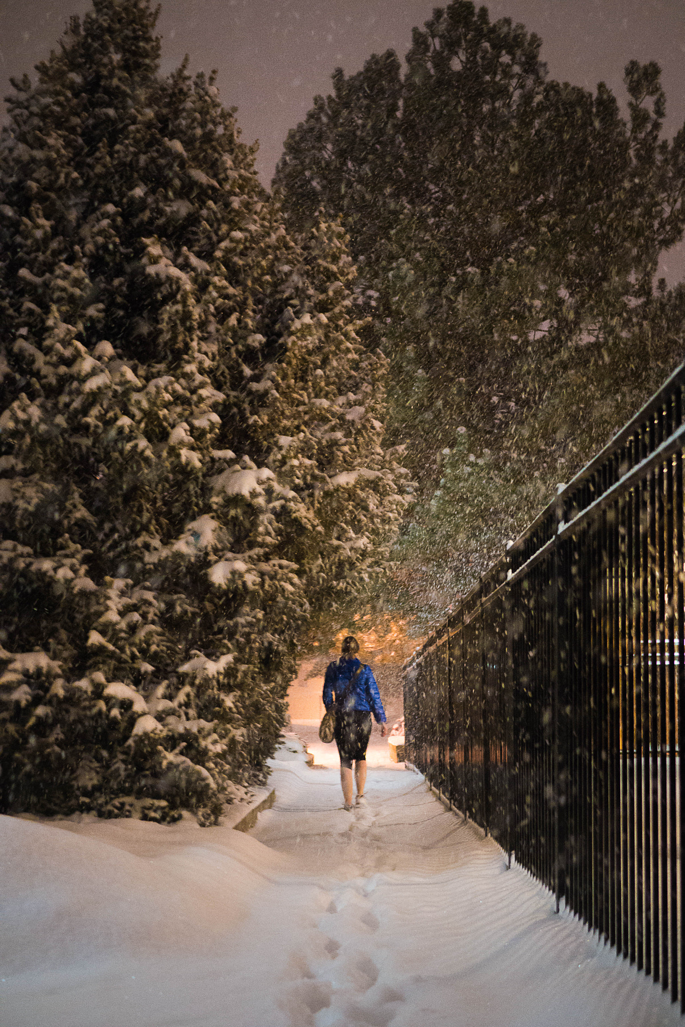 Panasonic Lumix DMC-G7 + LUMIX G 25/F1.7 sample photo. 2-1-2016.jpg - walking through a blizzard photography