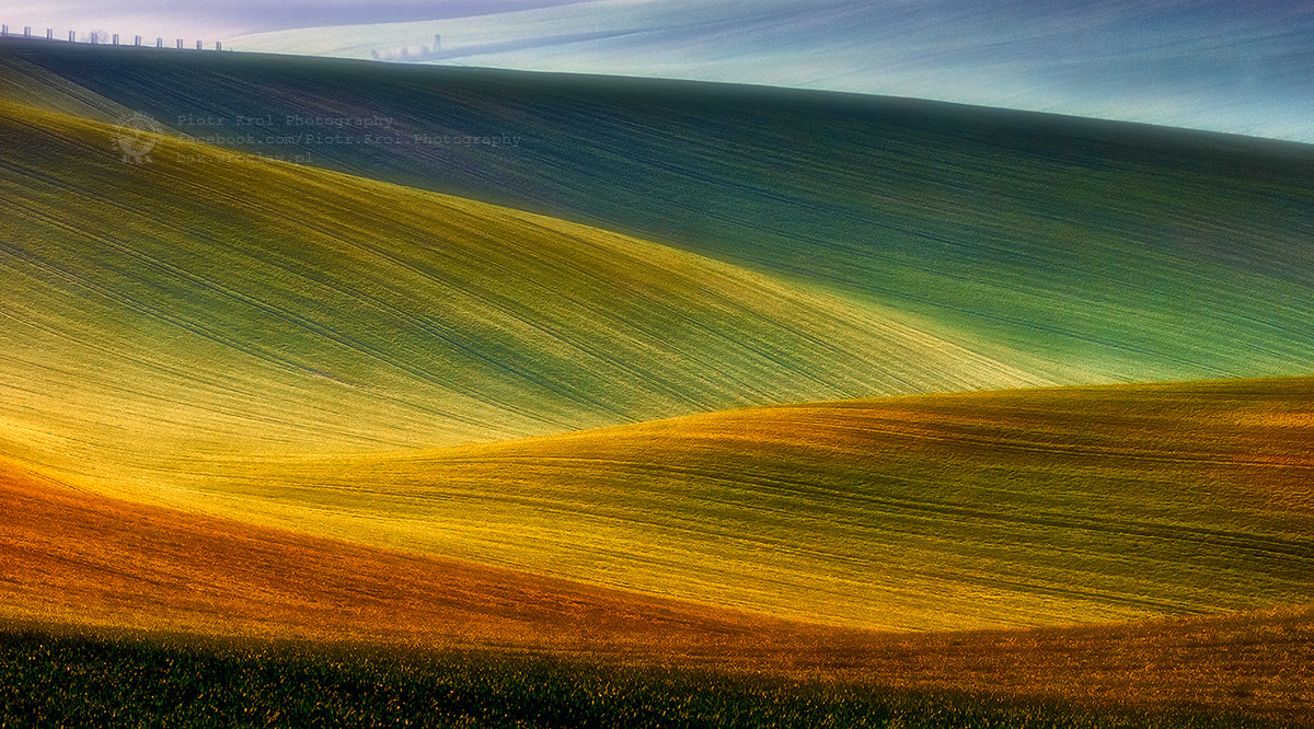 Sigma 50-500mm F4.5-6.3 DG OS HSM sample photo. Spring fields photography