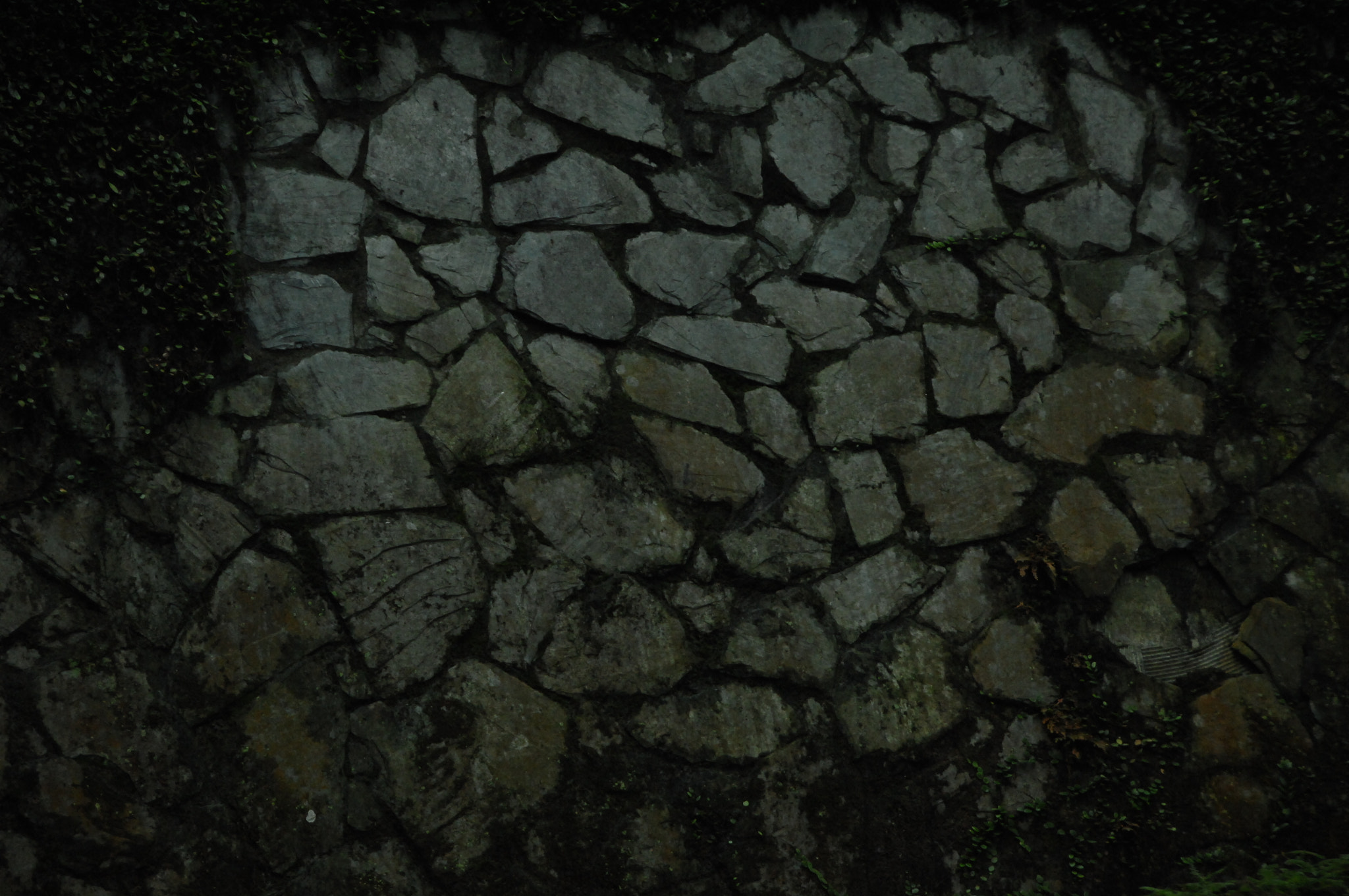 Nikon D2X sample photo. .. photography