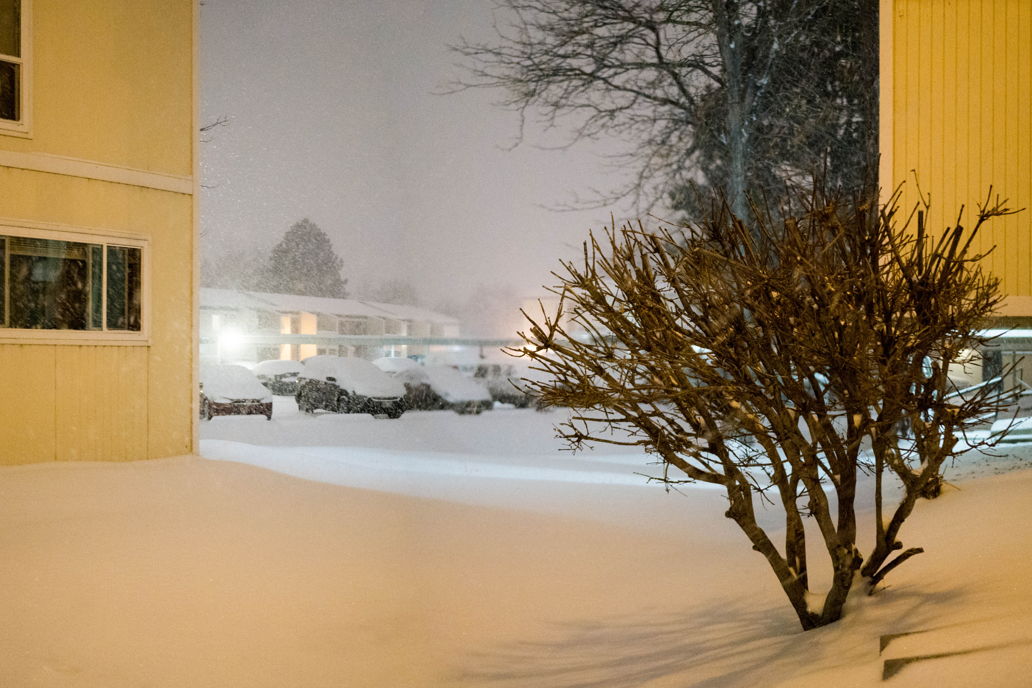 Panasonic Lumix DMC-G7 + LUMIX G 25/F1.7 sample photo. 2-1-2016 3.jpg photography