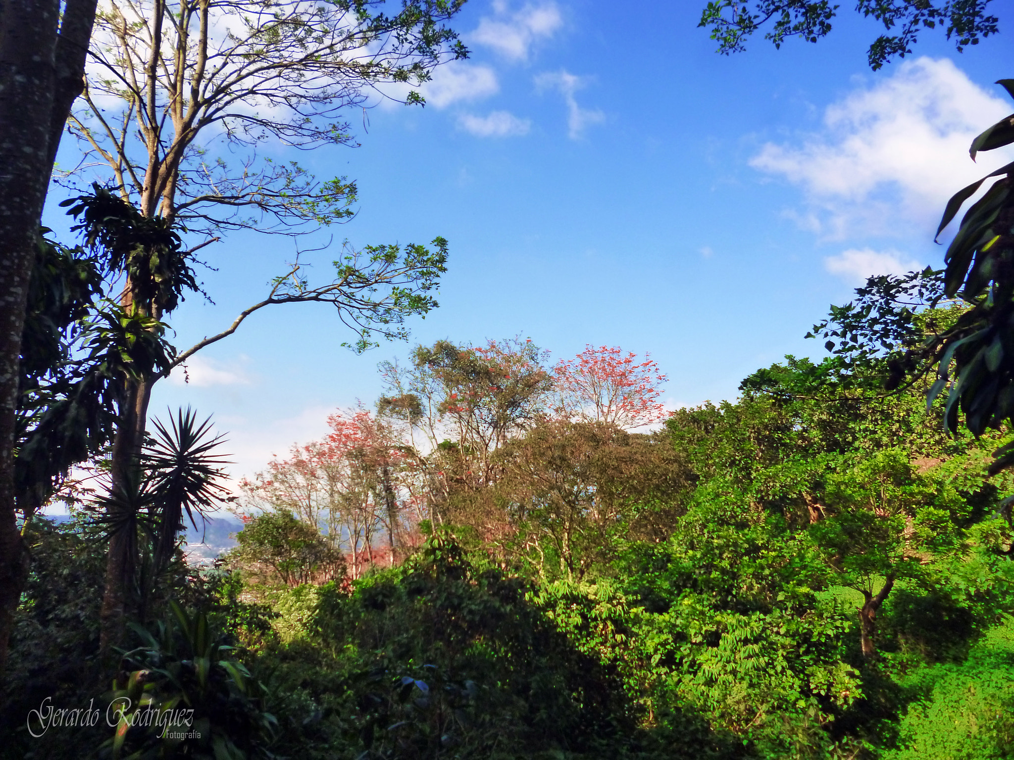 Panasonic DMC-FH4 sample photo. Costa rica landscape photography