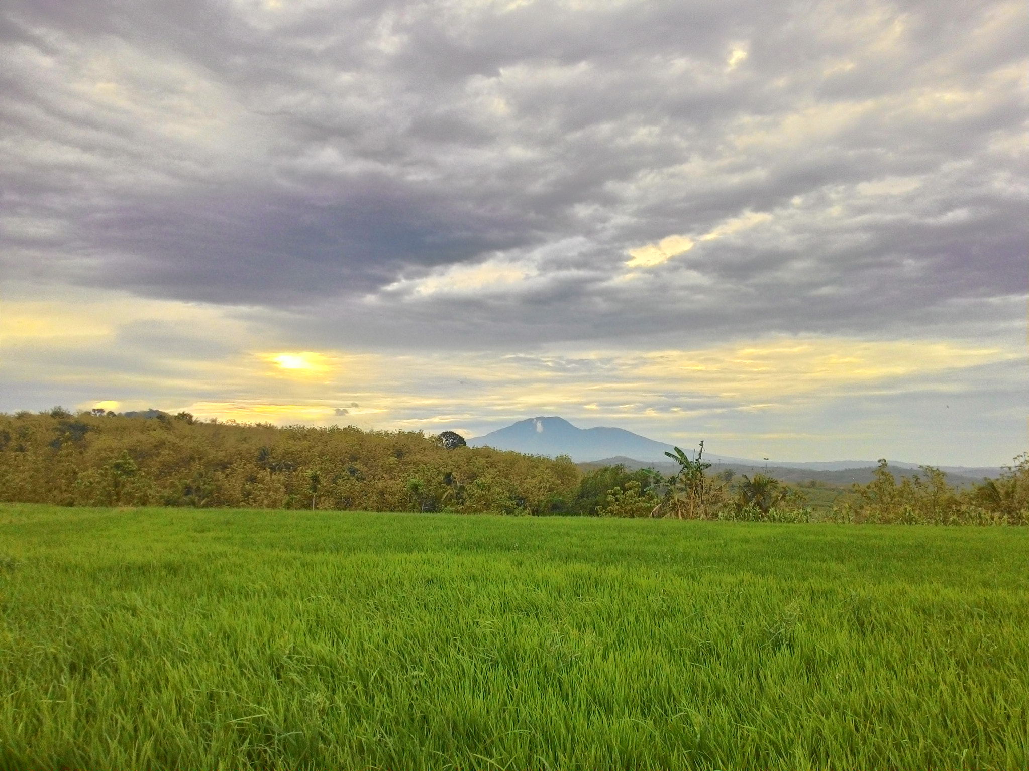 ASUS T00F sample photo. My village photography