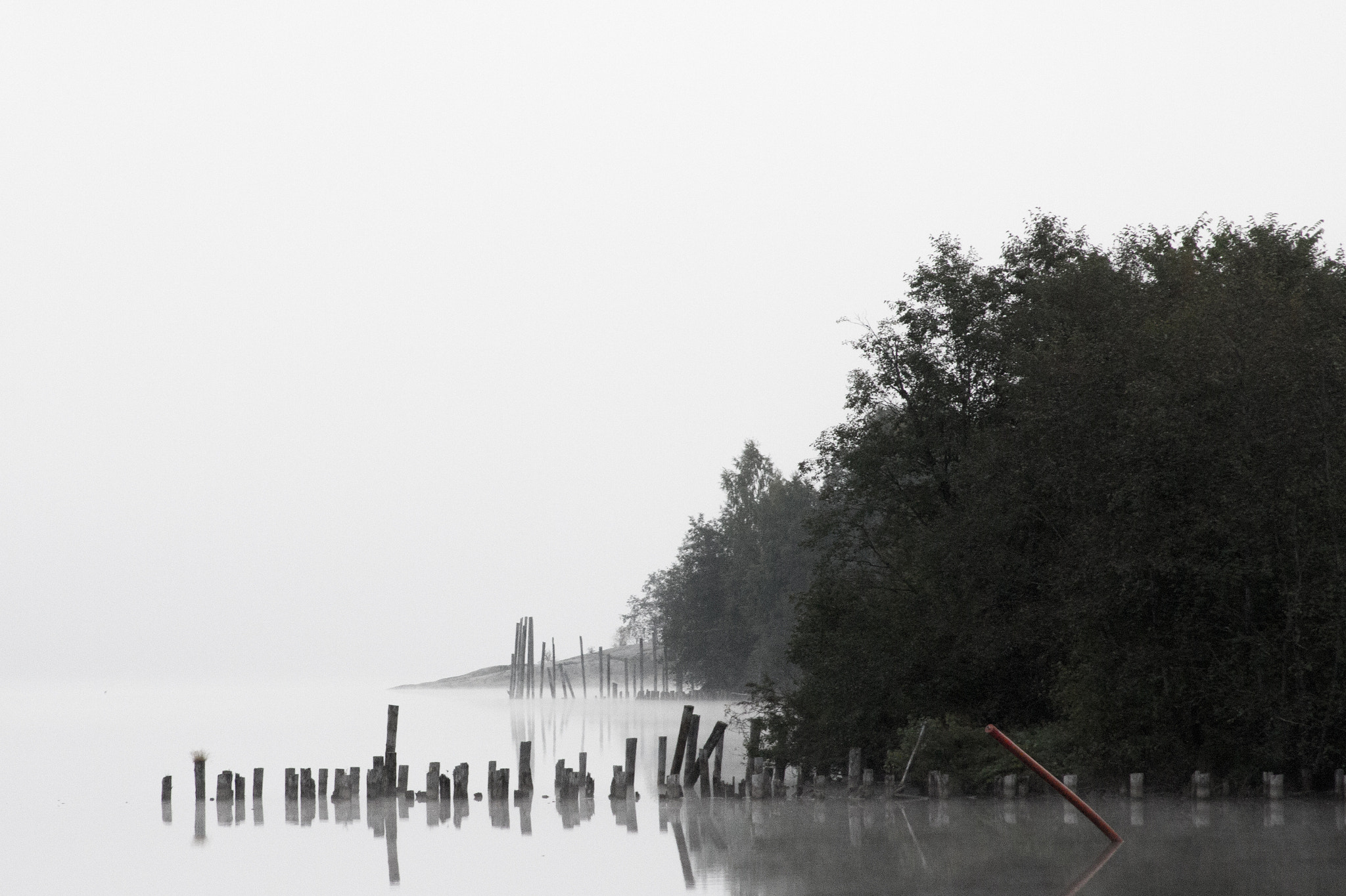 Canon EF 28-135mm F3.5-5.6 IS USM sample photo. Mist over water photography