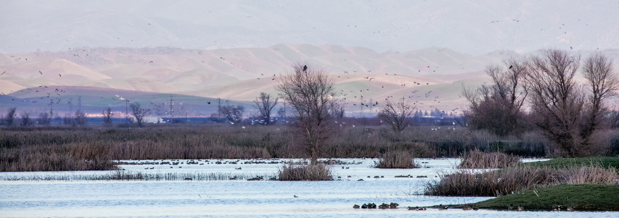 Sigma 150-600mm F5-6.3 DG OS HSM | C sample photo. Tranquility photography
