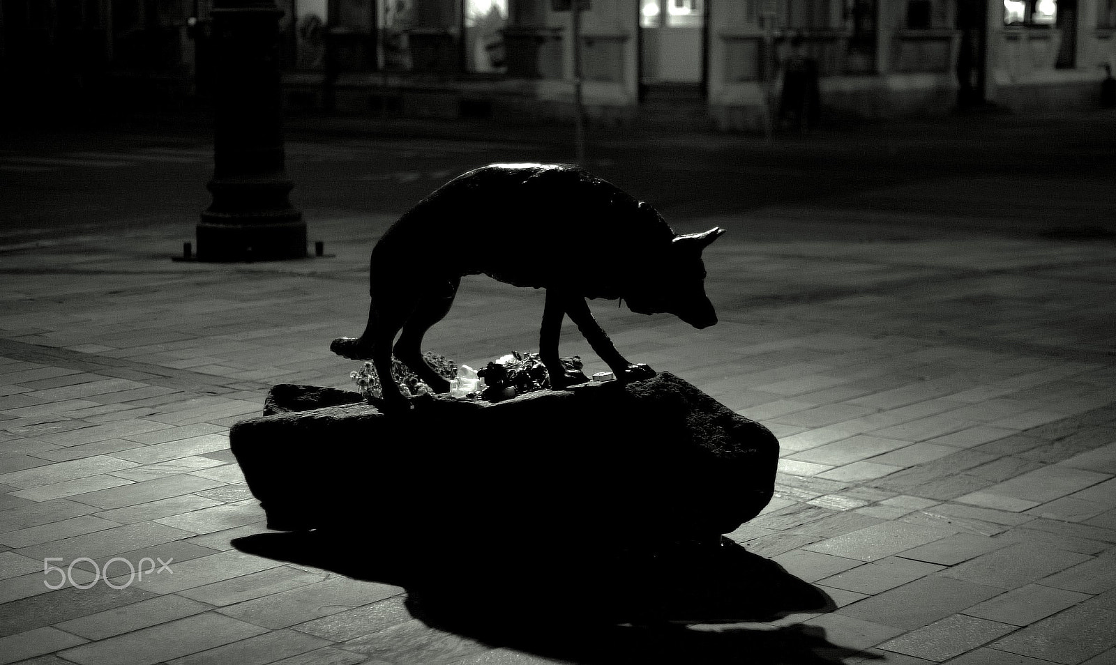 Canon EOS-1D sample photo. Mancs. photography