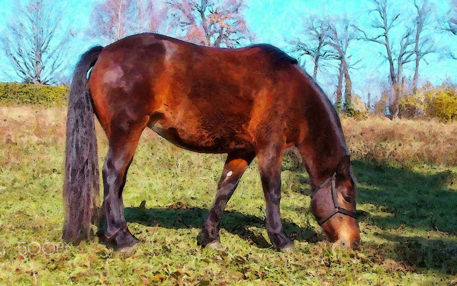 Nikon COOLPIX L27 sample photo. Grazing ... photography
