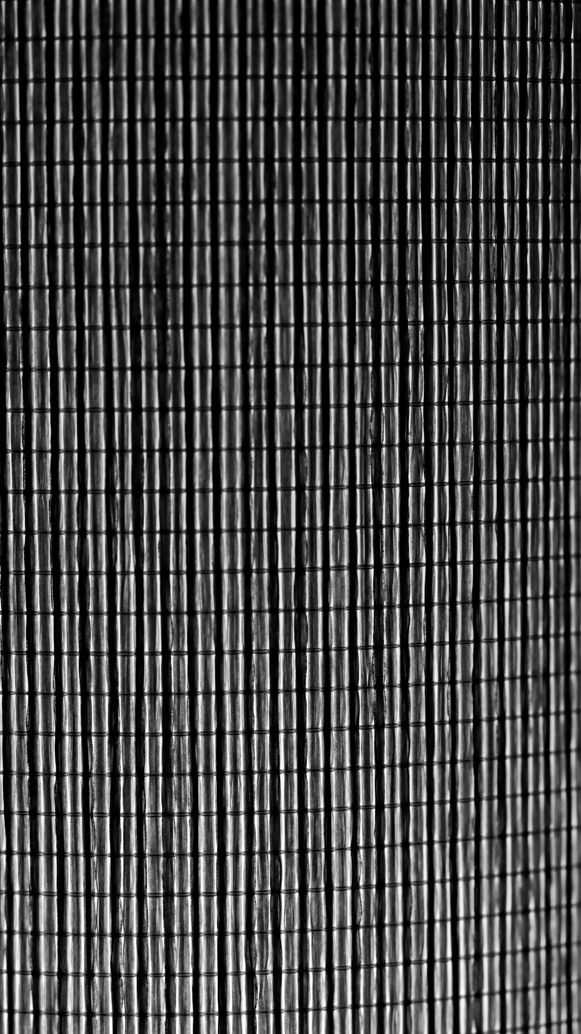 Sony Alpha NEX-7 + Sony Sonnar T* FE 55mm F1.8 ZA sample photo. Bamboo curtain photography