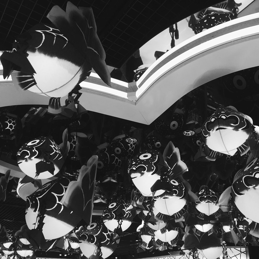 Apple iPhone sample photo. Flying fish bw photography