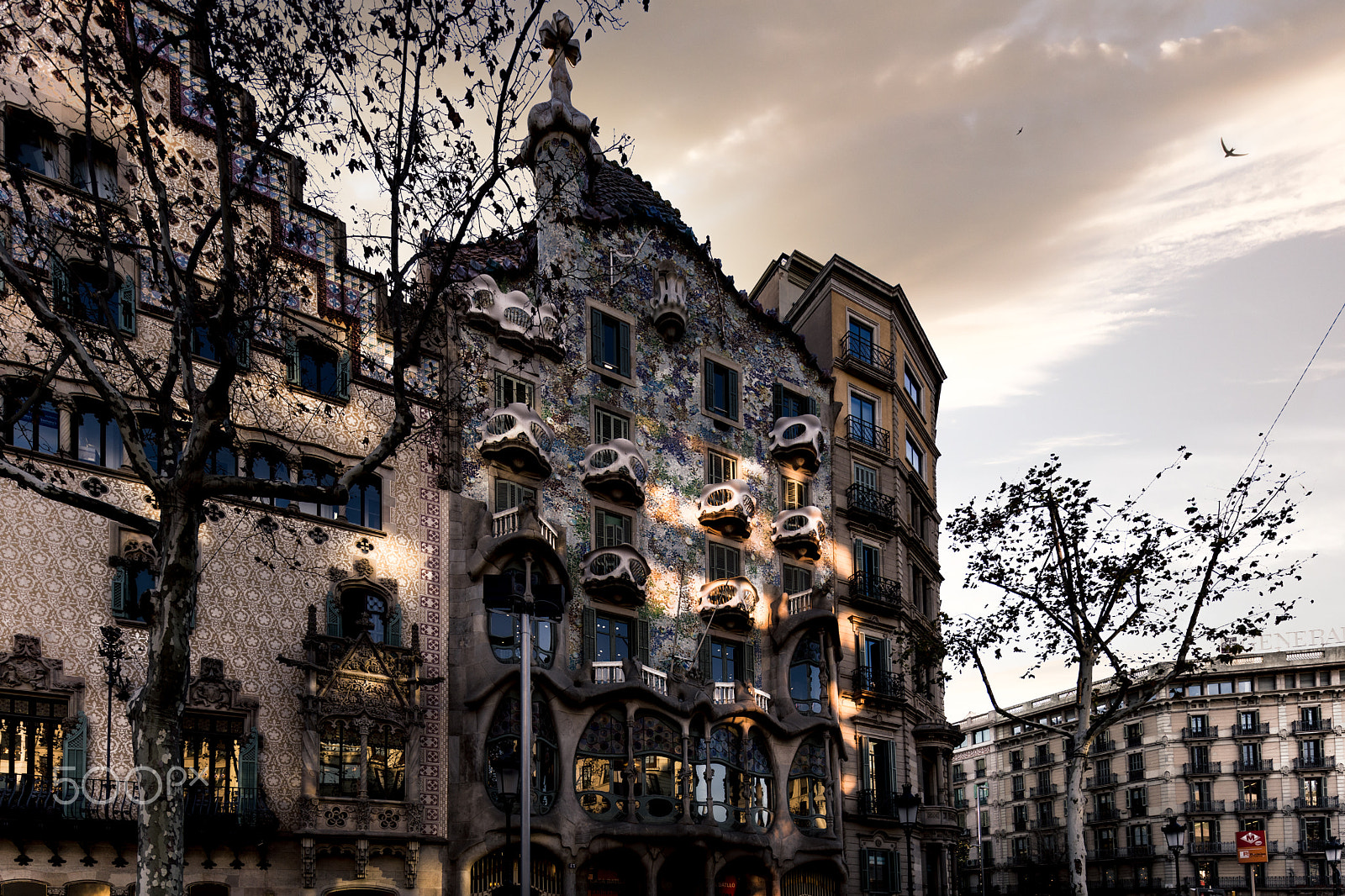 Canon TS-E 17mm F4L Tilt-Shift sample photo. Casa batllo ii photography