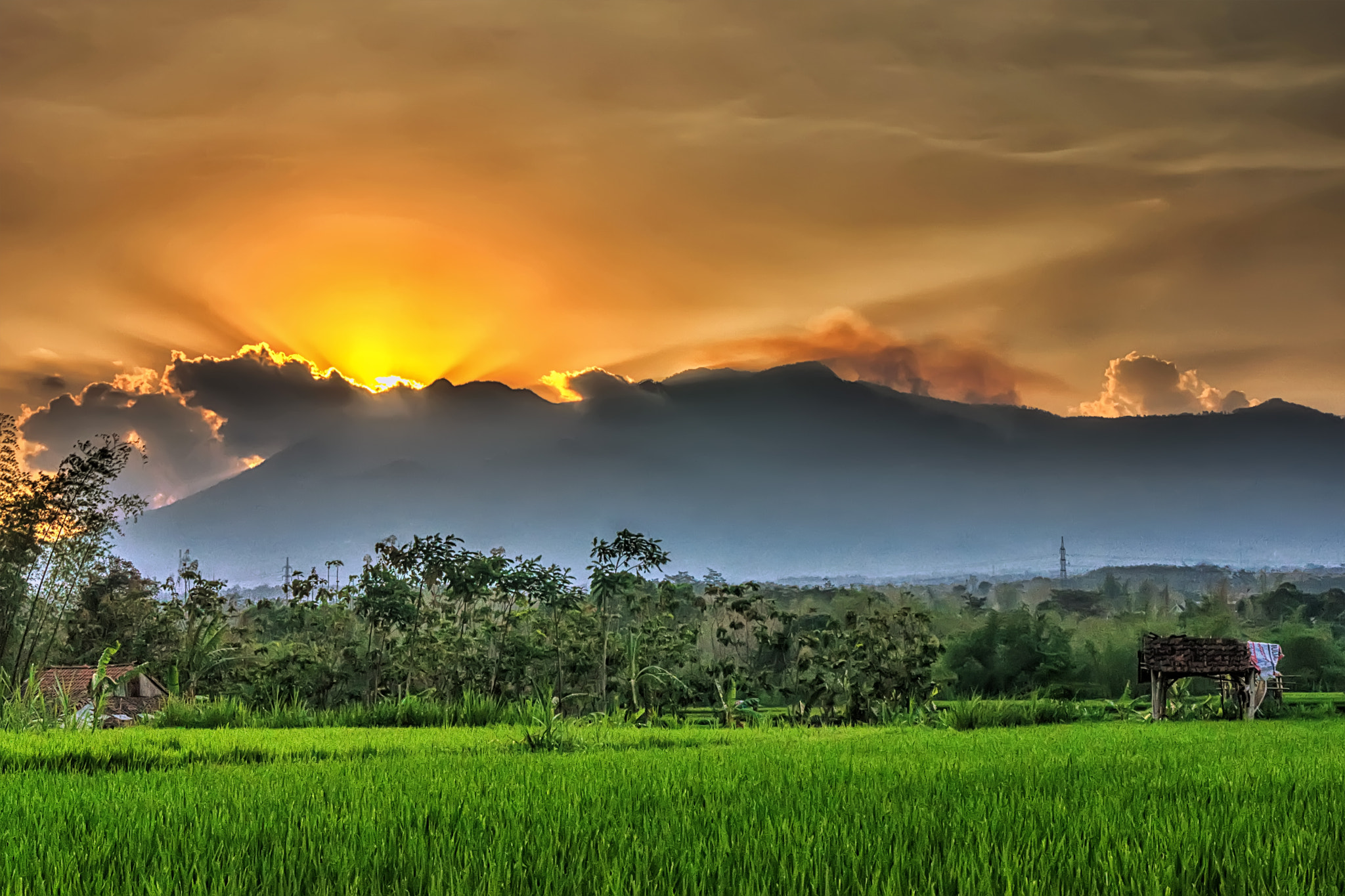 Sony Alpha DSLR-A560 sample photo. Sunset di merjosari photography