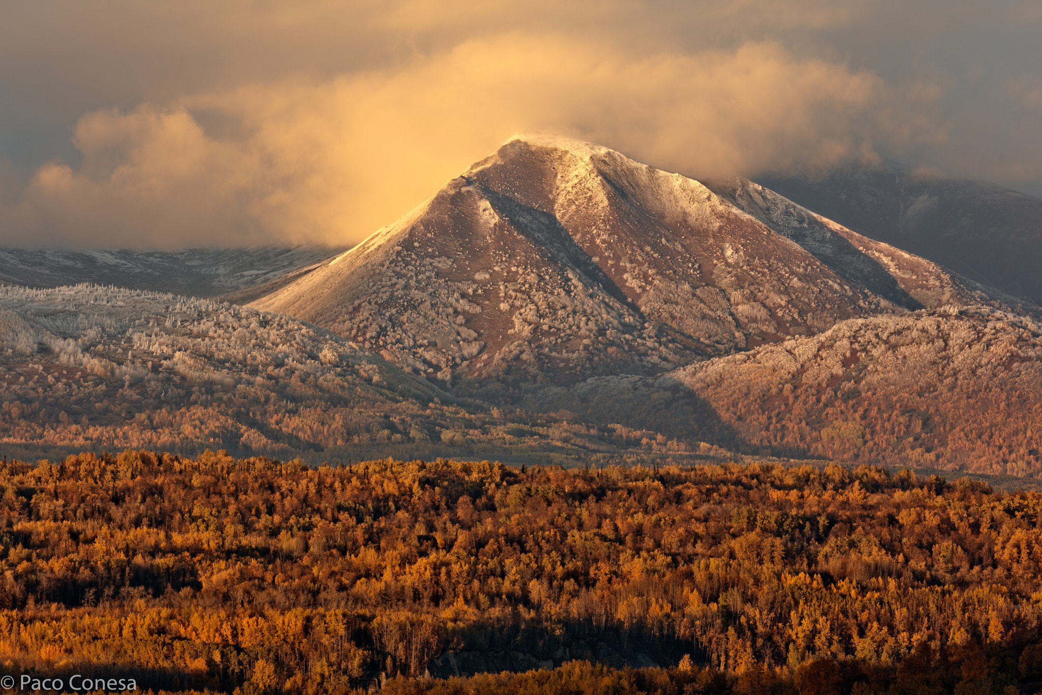 Canon EF 200-400mm F4L IS USM Extender 1.4x sample photo. Autumn in the red mountain photography