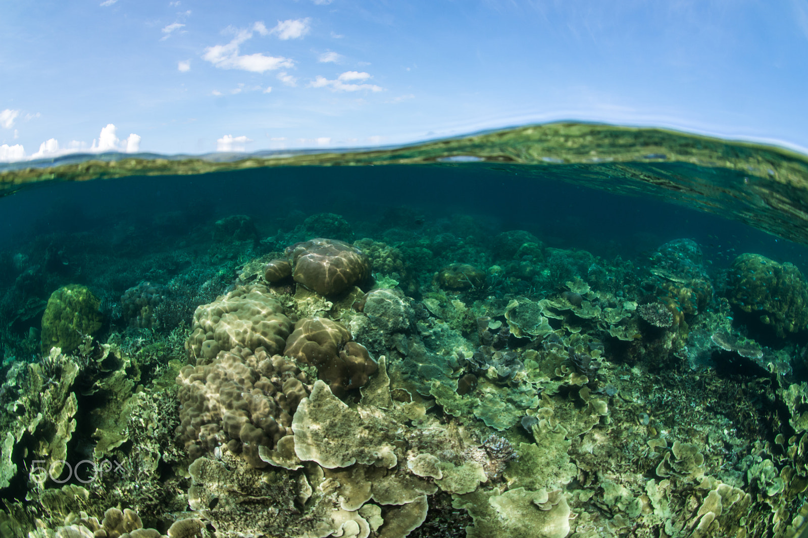 Nikon D7200 + Sigma 10mm F2.8 EX DC HSM Diagonal Fisheye sample photo. Up & down photography