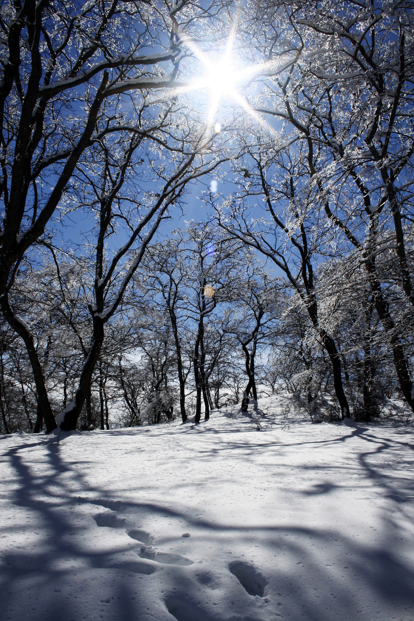 Canon EF-S 18-55mm F3.5-5.6 sample photo. Guba photography