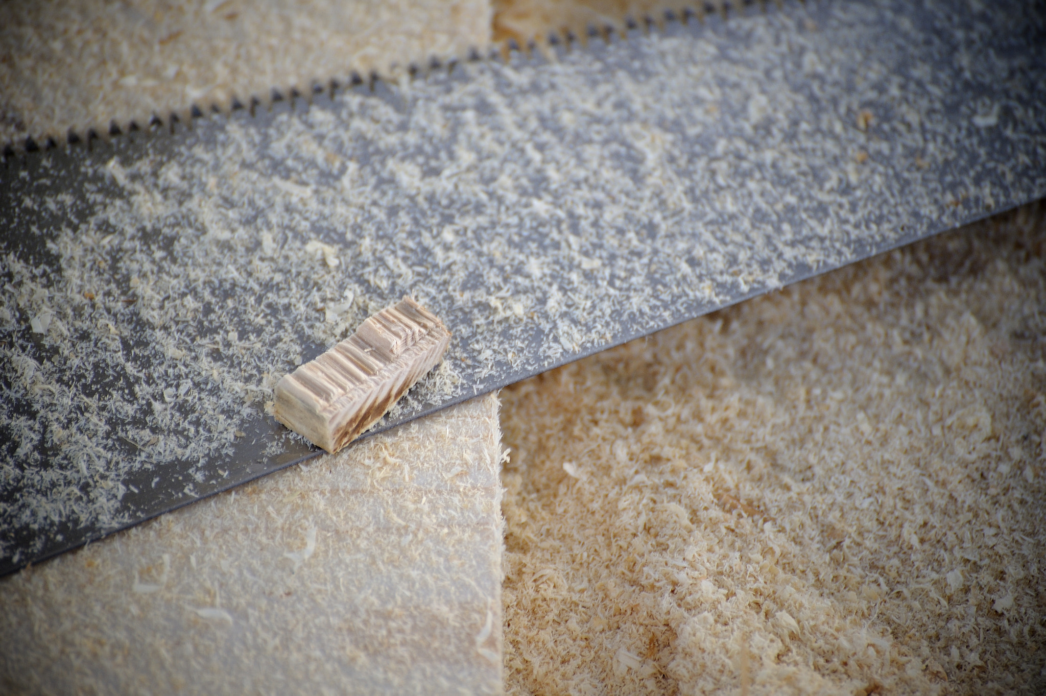 Nikon D3S sample photo. Chantier la fournache photography