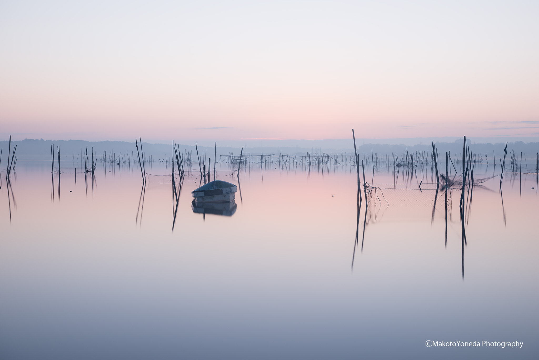 Nikon AF-S Nikkor 24-70mm F2.8E ED VR sample photo. Flowting photography