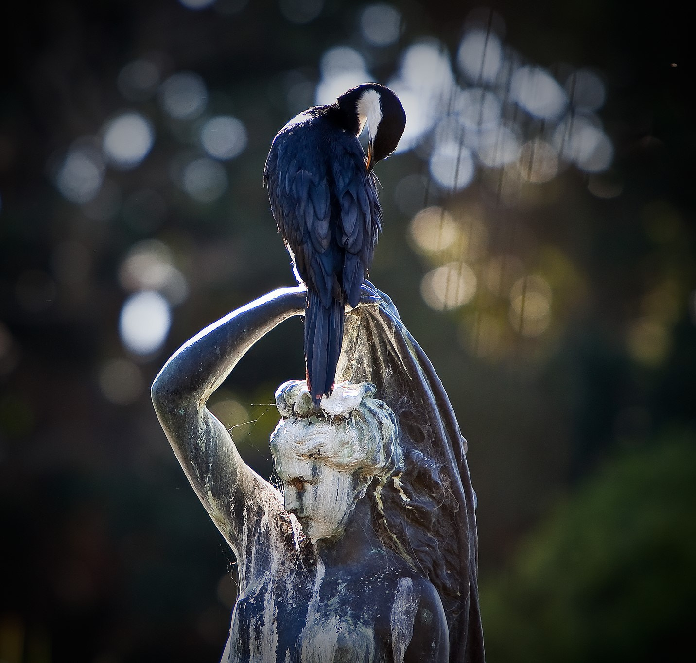 Canon EF 70-200mm F2.8L IS USM sample photo. Botanic garden photography