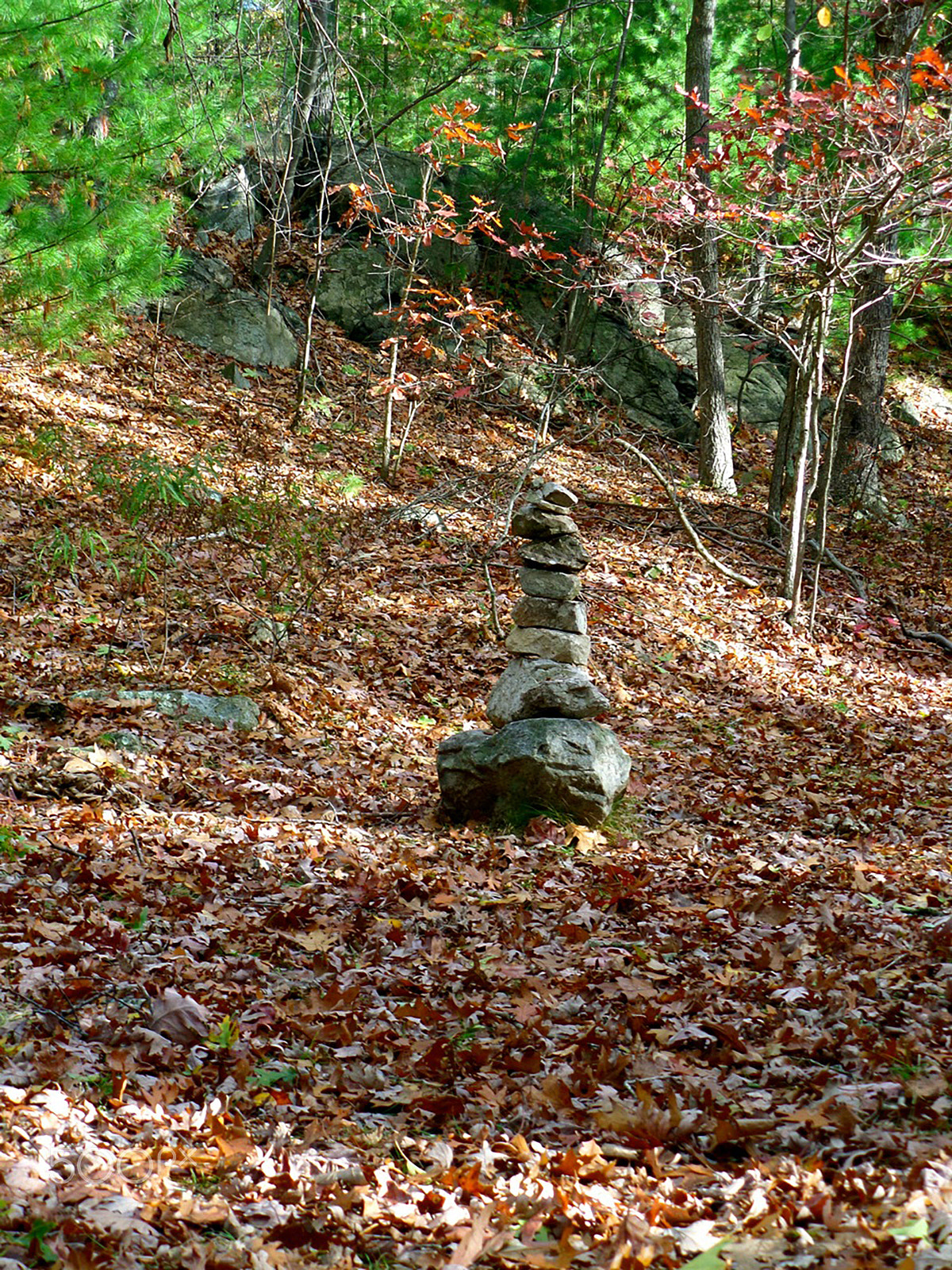 Samsung WB800F sample photo. Meditation photography