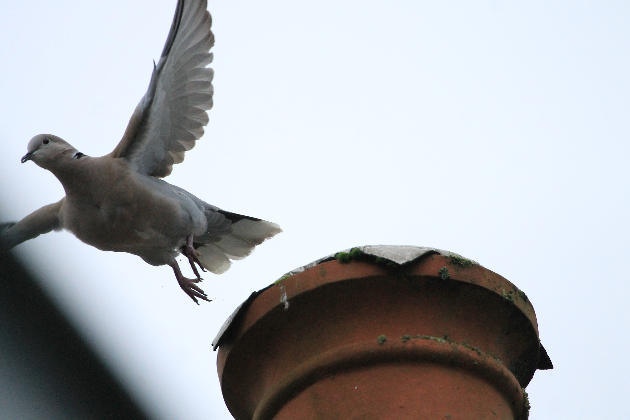 Canon EF 100-400mm F4.5-5.6L IS USM sample photo. Img_0573.jpg photography