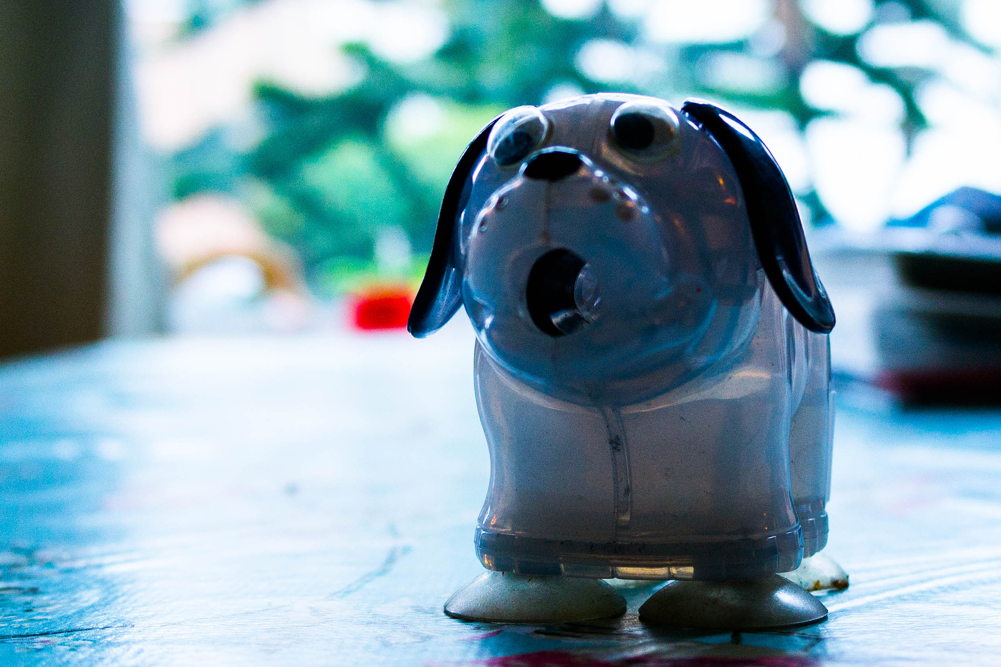 Samsung NX300 + Samsung NX 20-50mm F3.5-5.6 ED sample photo. Worried dog photography