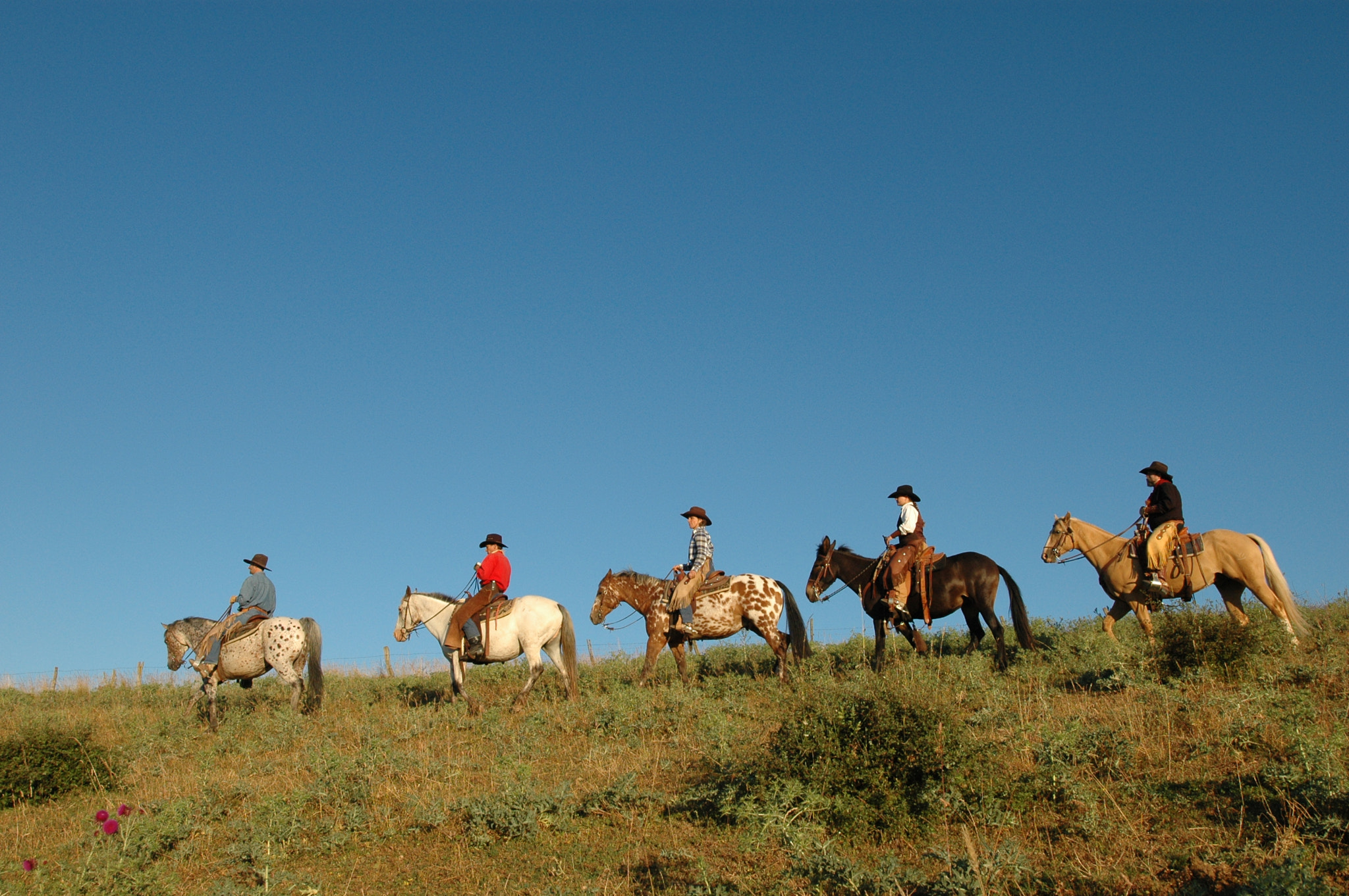 Nikon AF-S Nikkor 17-35mm F2.8D ED-IF sample photo. Equitation puech maynade photography
