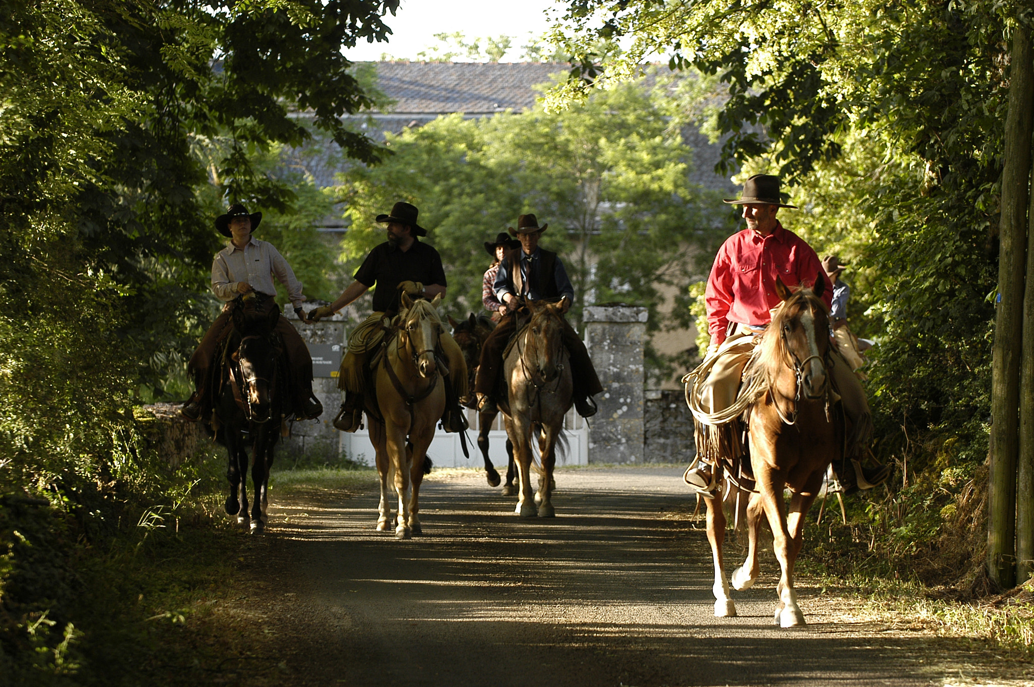 Nikon D100 sample photo. Equitation puech maynade photography