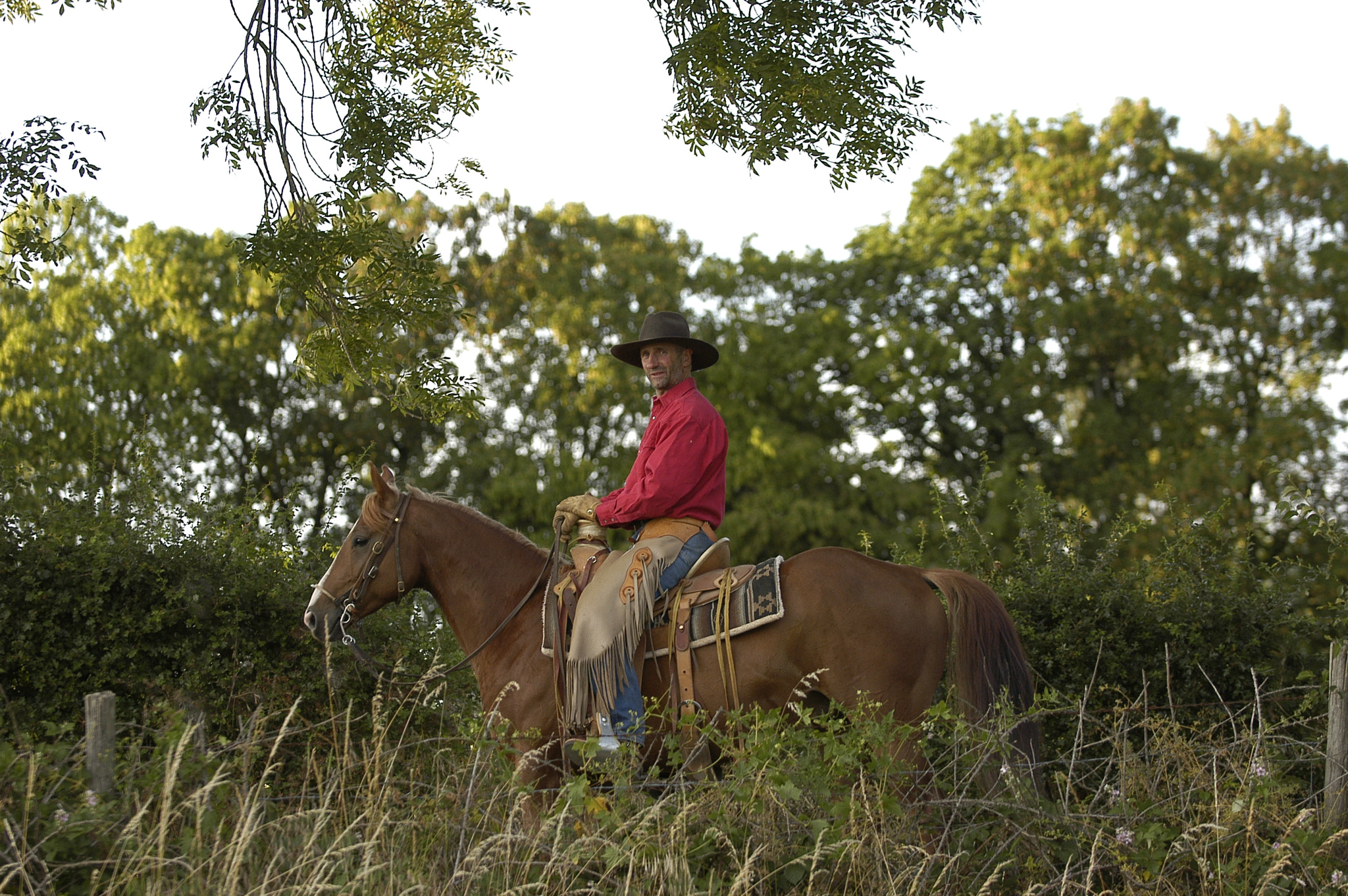 Nikon D100 sample photo. Equitation puech maynade photography