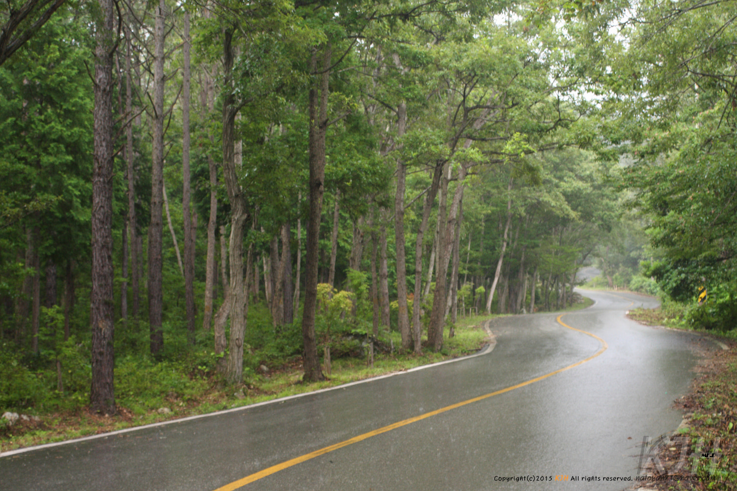 Canon EF 35-70mm f/3.5-4.5A sample photo. In the rain photography
