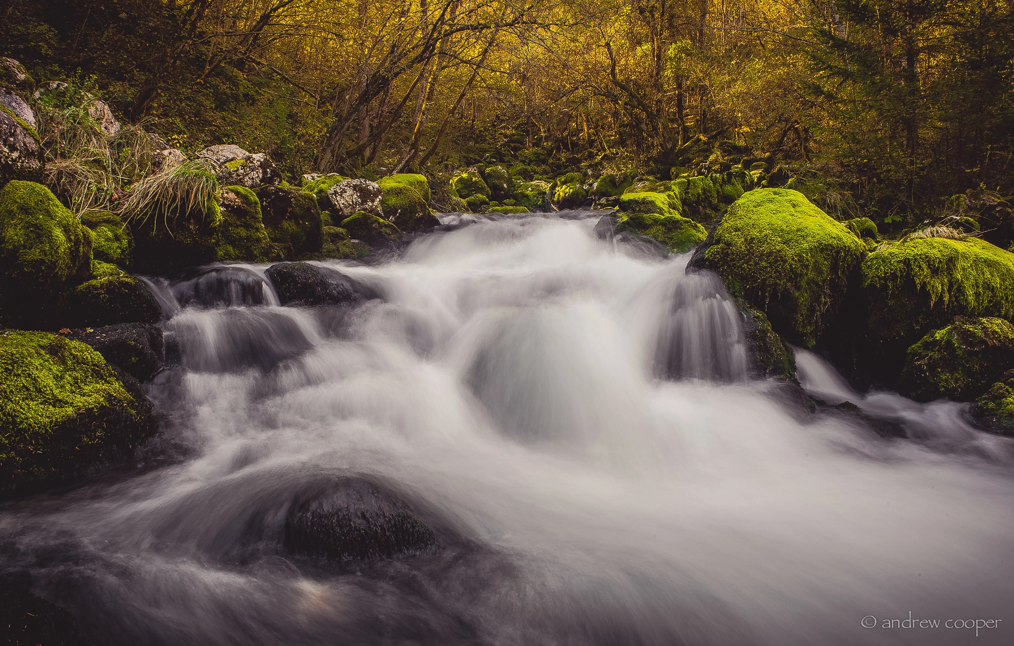 Nikon Df + AF Nikkor 28mm f/2.8 sample photo. Flow from the endless wellspring photography