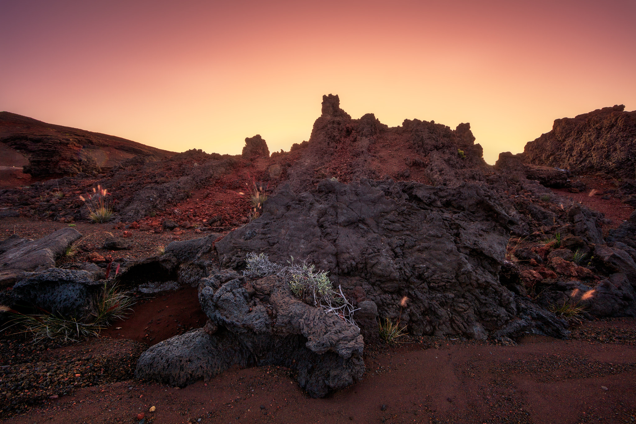 Canon EF 14mm F2.8L II USM sample photo. Purple hour photography