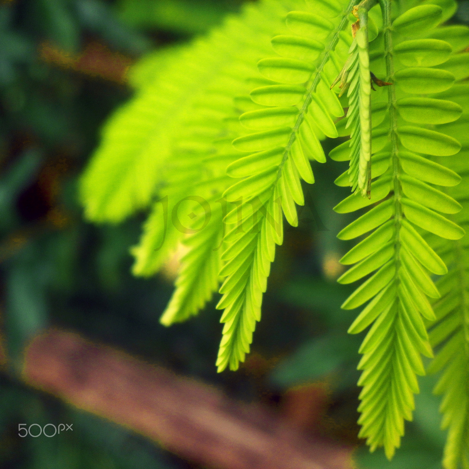 Olympus VG180,D770 sample photo. Green life! photography