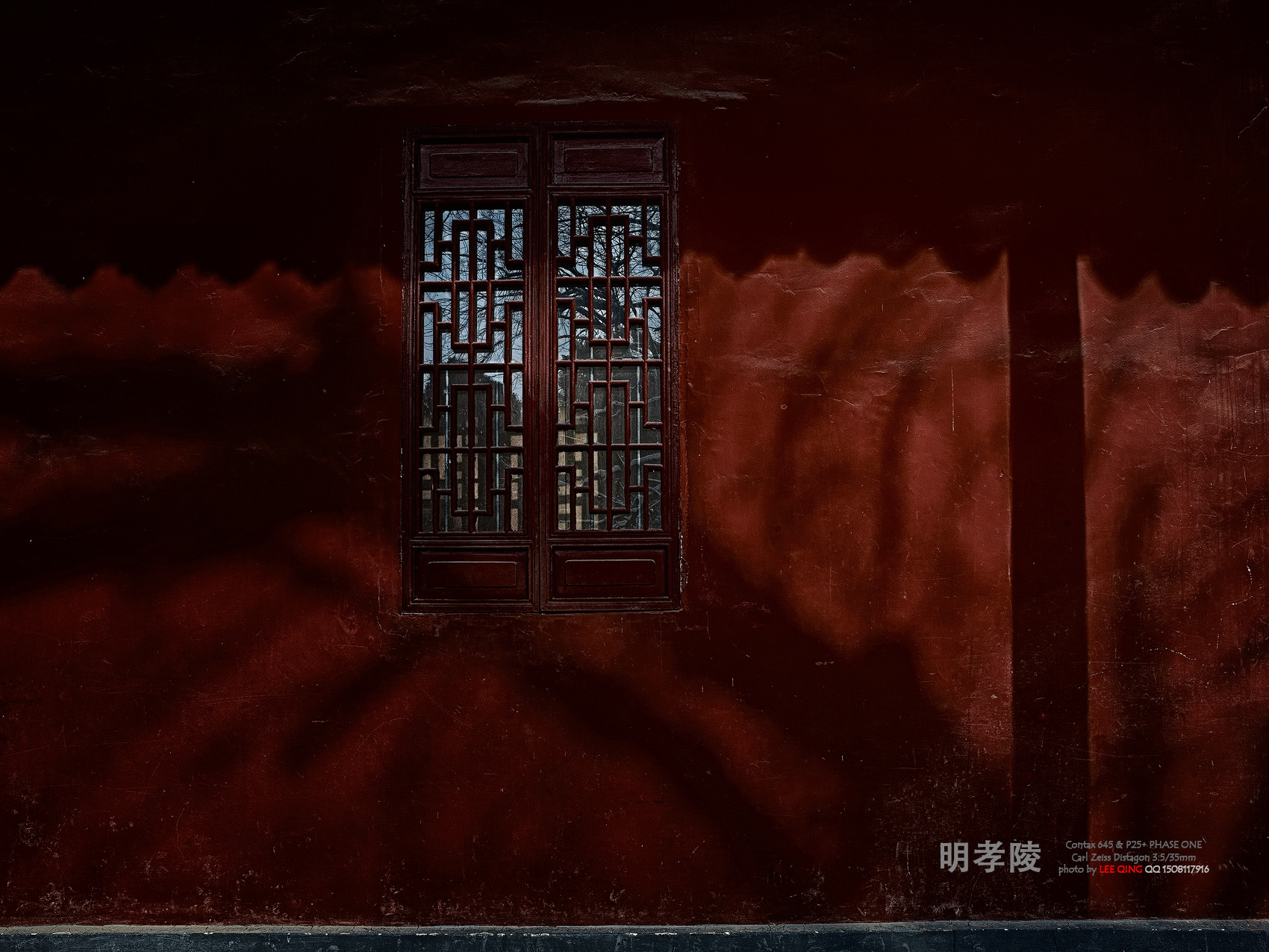 Phase One P25+ sample photo. 大明紅 photography
