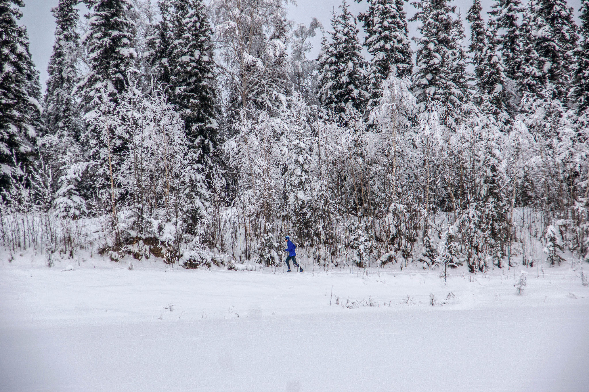 Sony DT 16-105mm F3.5-5.6 sample photo. Alaska snow landscapes photography
