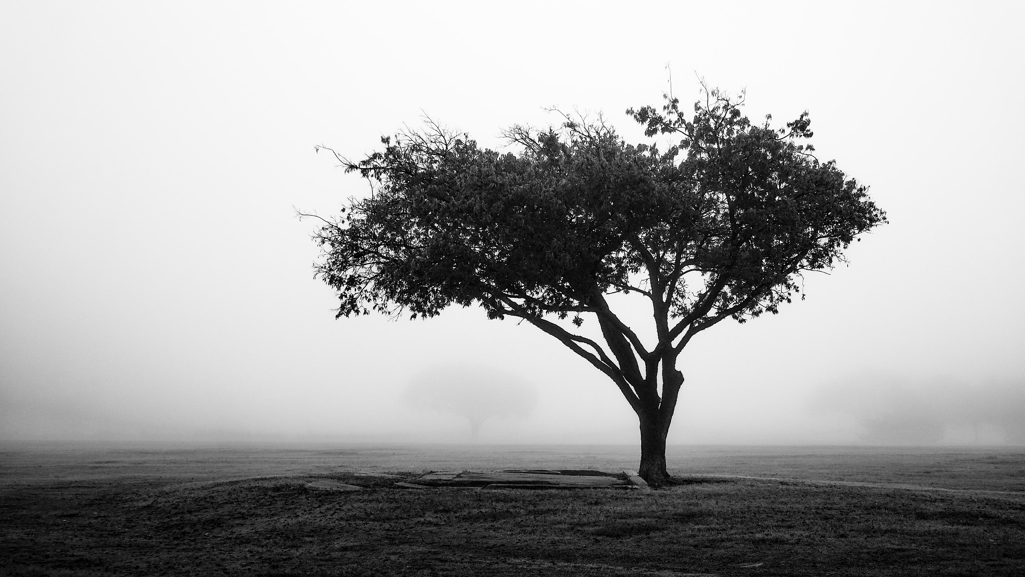 Samsung Galaxy NX sample photo. Foggy morning photography