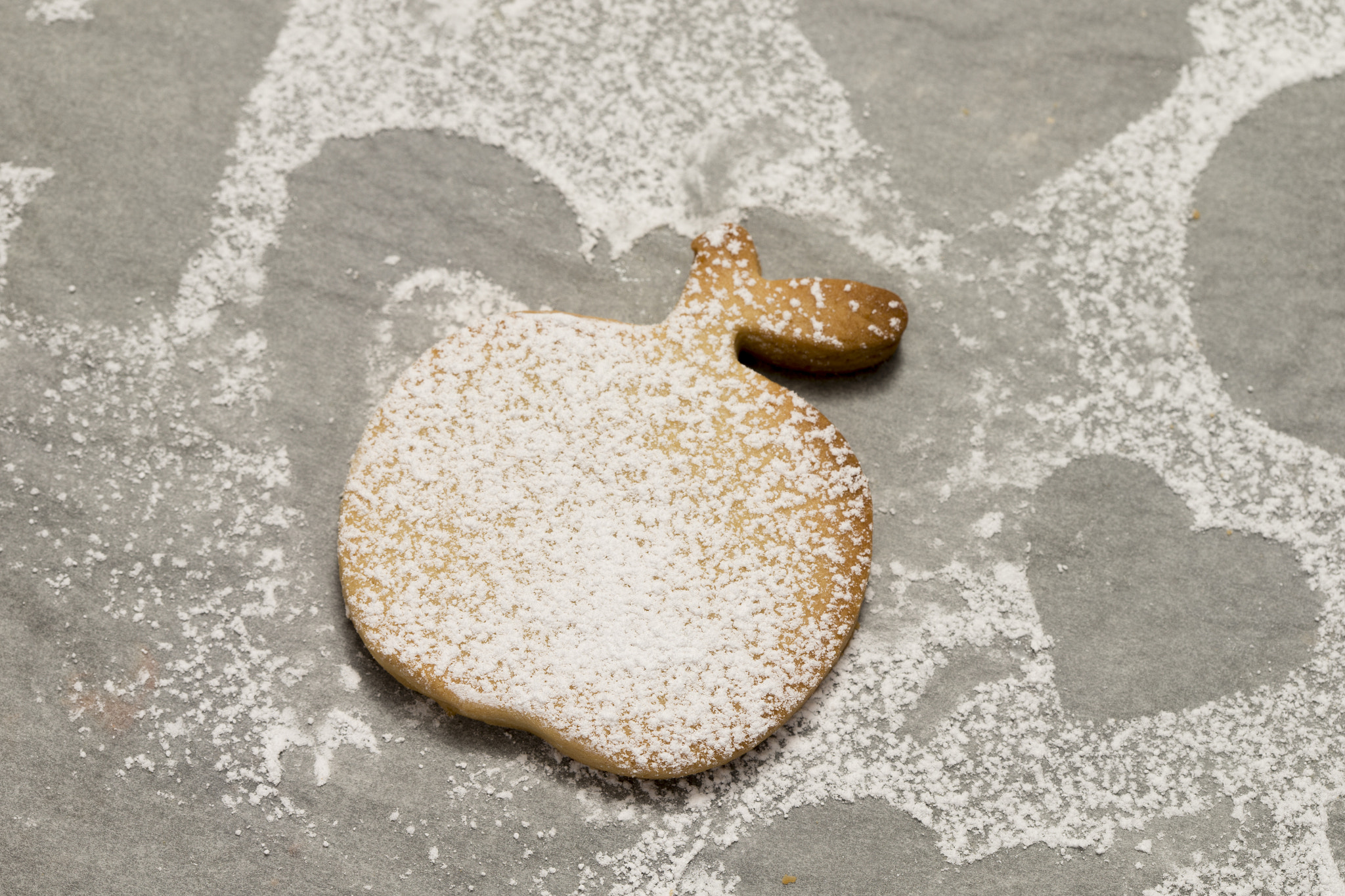 Canon EOS-1D X + Canon EF 100mm F2.8 Macro USM sample photo. Close-up of cookie powdered with sugar photography