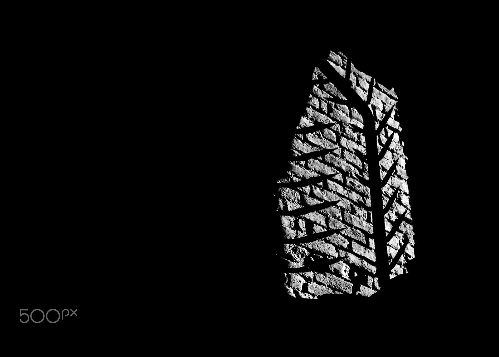 Samsung NX 18-200mm F3.5-6.3 ED OIS sample photo. Thorns photography