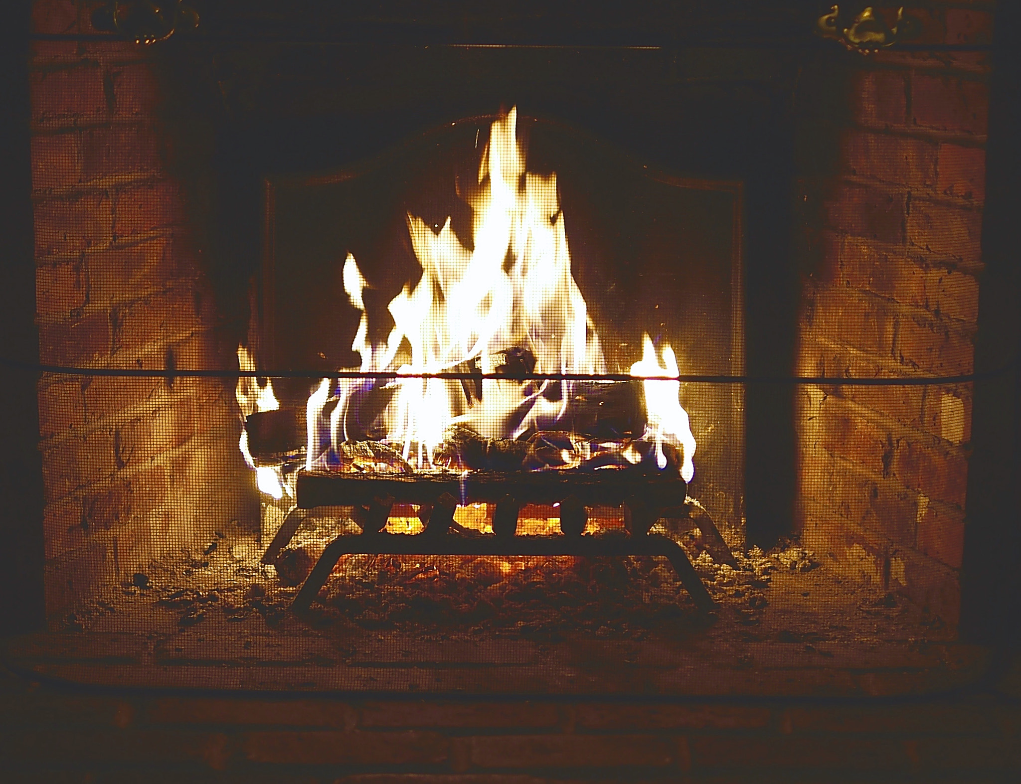Panasonic Lumix DMC-G3 sample photo. I see fire photography